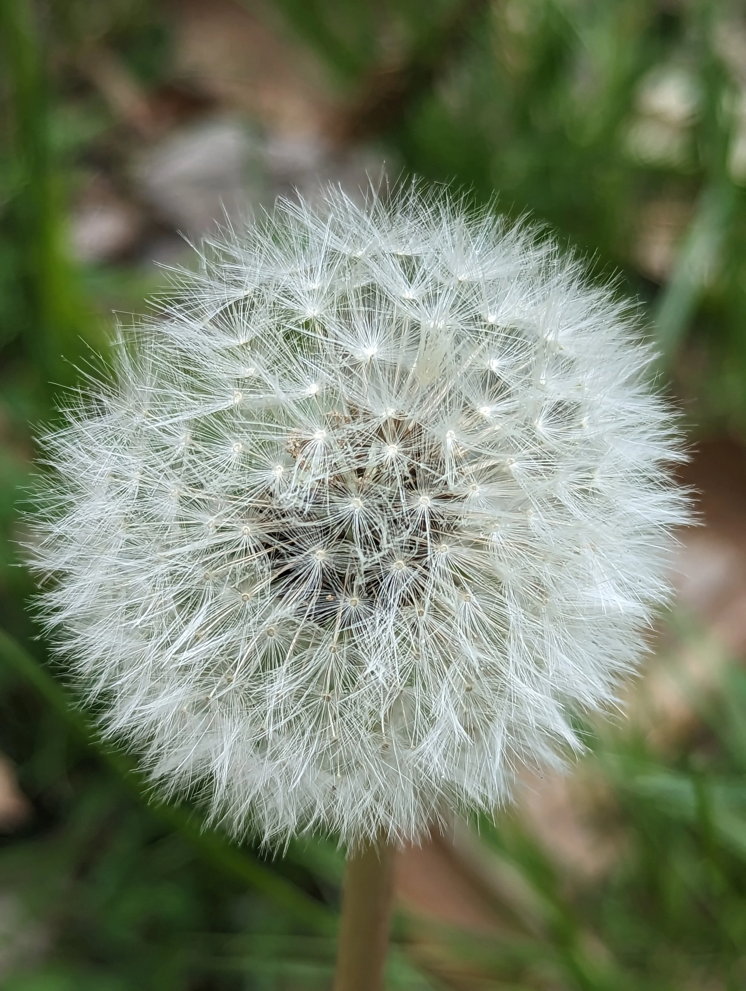 PXL_20230520_183648193.jpg
