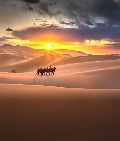 Gobi Desert