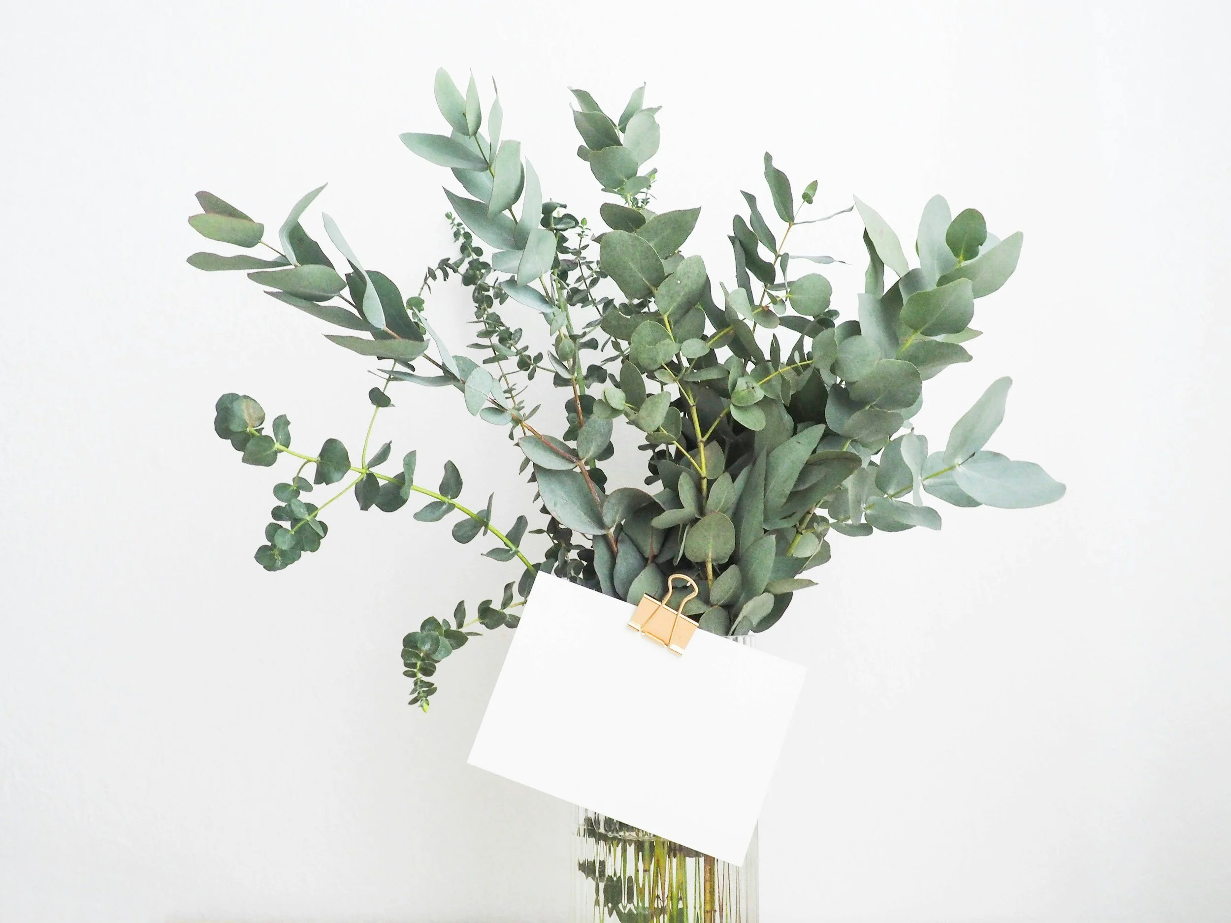 A bouquet of eucalyptus leaves in a clear glass vase with a white card attached by a gold clip, set against a plain white background.