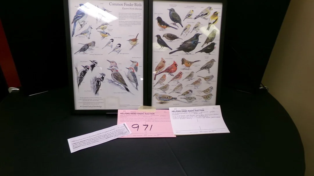8 - 2 Framed Posters of Common Feeder Birds by Pat Palmer &amp; Mark Widmer (W.G. Rhea Library)