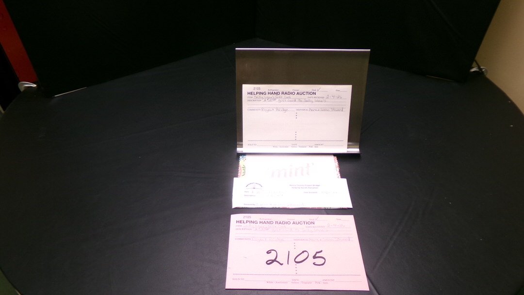 10 - Sally Lane's Gift Card by Mark &amp; Susan Steward (Project Bridge).jpg