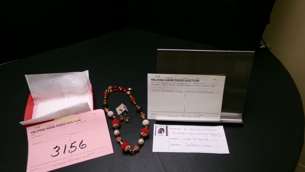 3156 - Necklace & Earrings by Linda McDonald (Dark horse).jpg