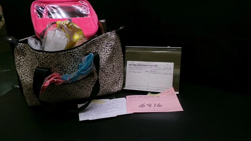 10 - Travel Essentials Bag by Lyn Farmer & Susan Cook (Spriingville).jpg