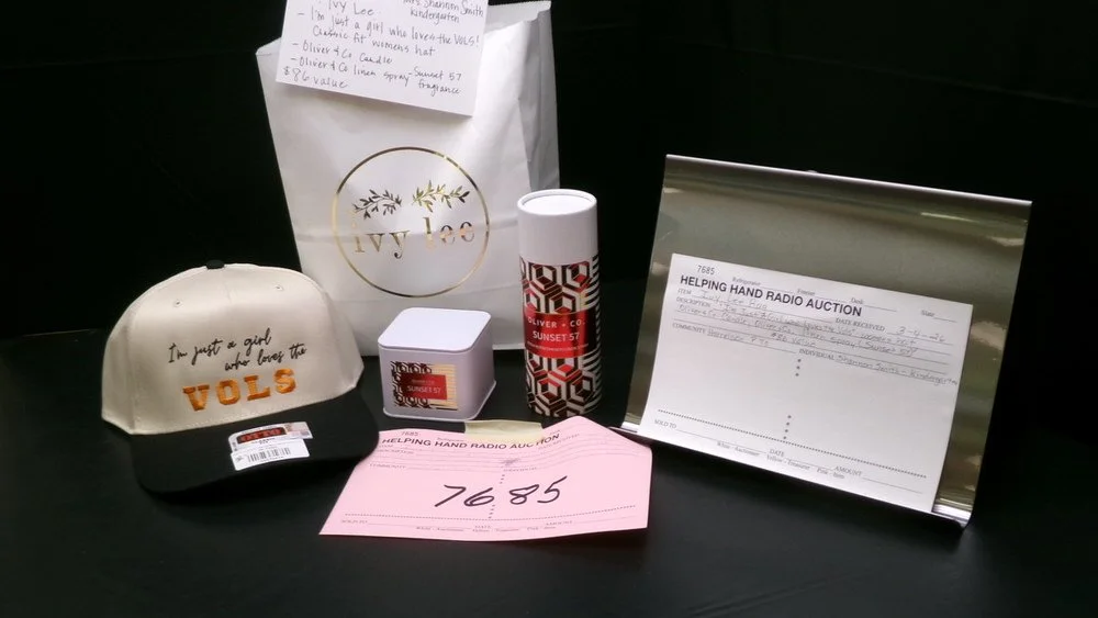 7685 - Ivy Lee Bag  by Shannon Smith (PTO).jpg