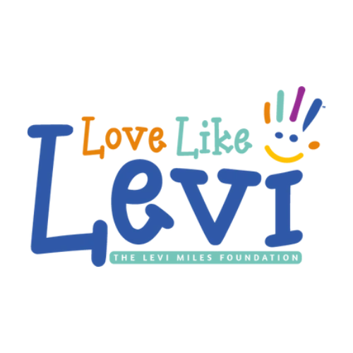 Logo for Love Like Levi featuring a smiling face with colorful lines above, and text reading "Love Like Levi" with a green banner underneath that says "The Levi Miles Foundation."