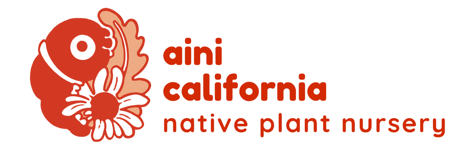 ainiCalifornia Native Plant Nursery