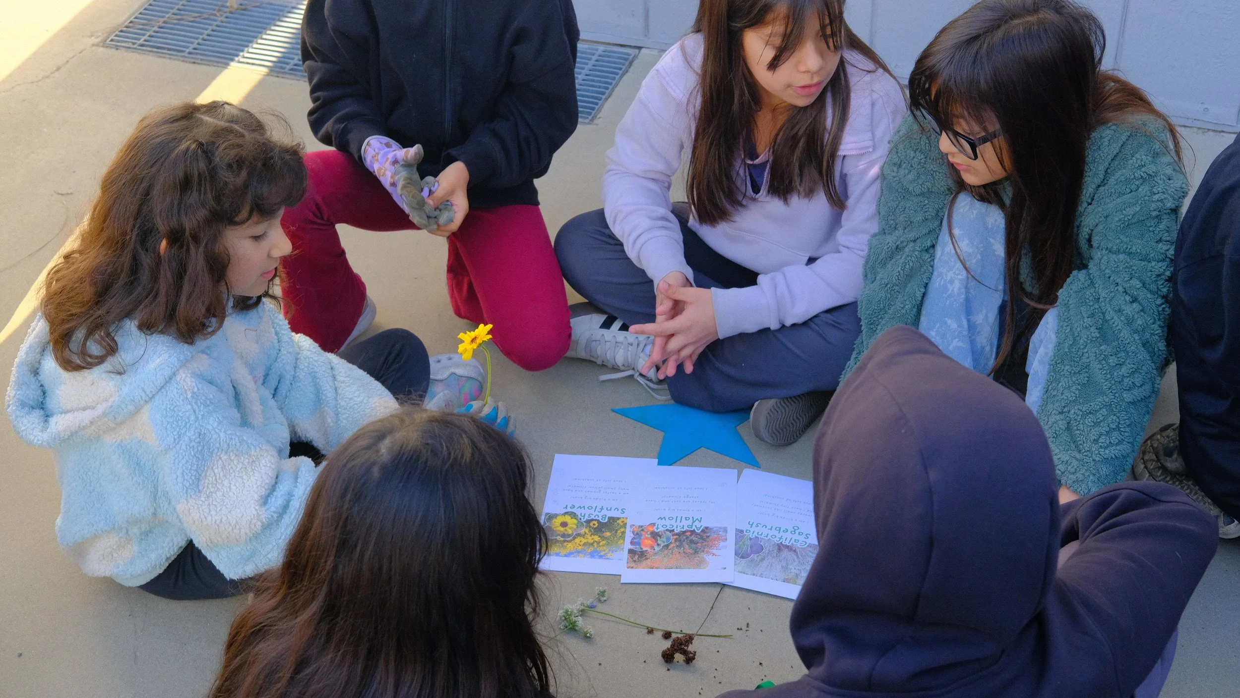 students selection native plants for their garden