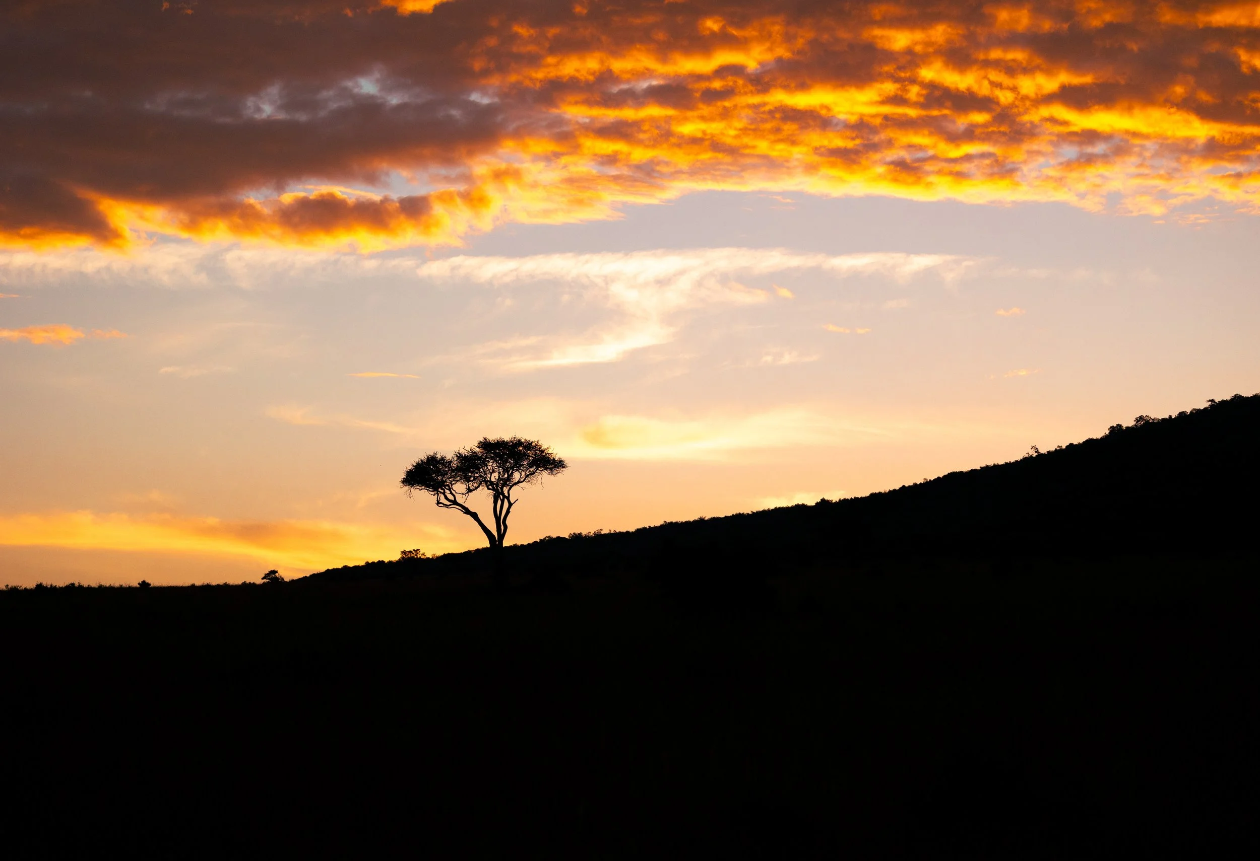 SUNRISE IN THE MARA