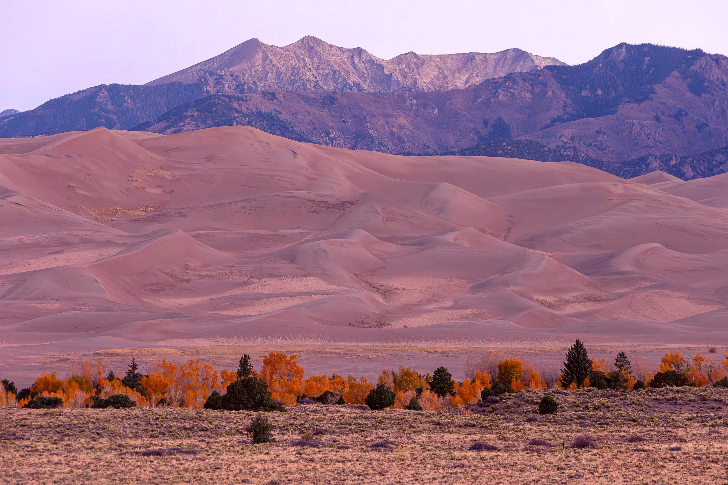 SAND DUNES SUNRISE