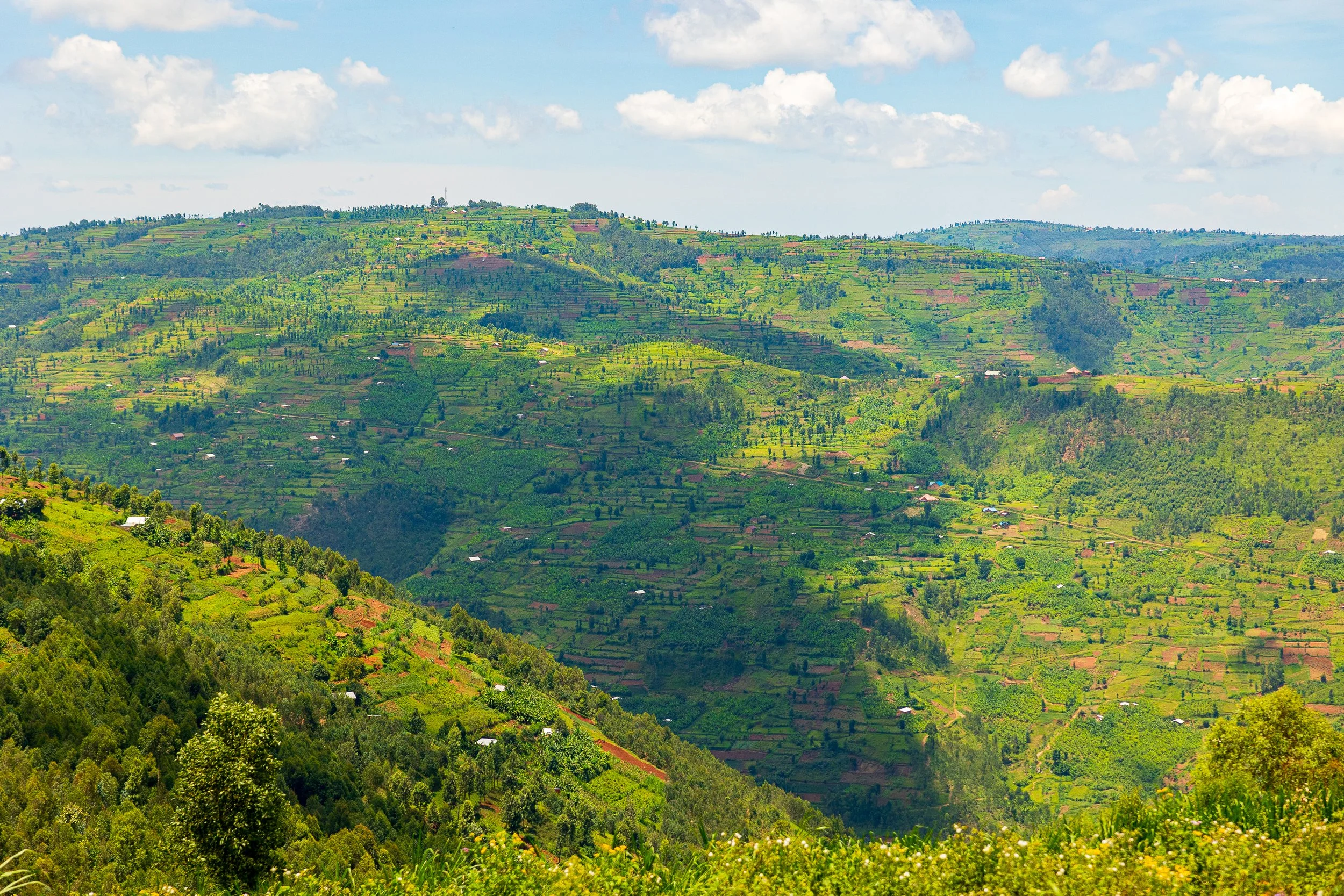 HILLS OF RWANDA