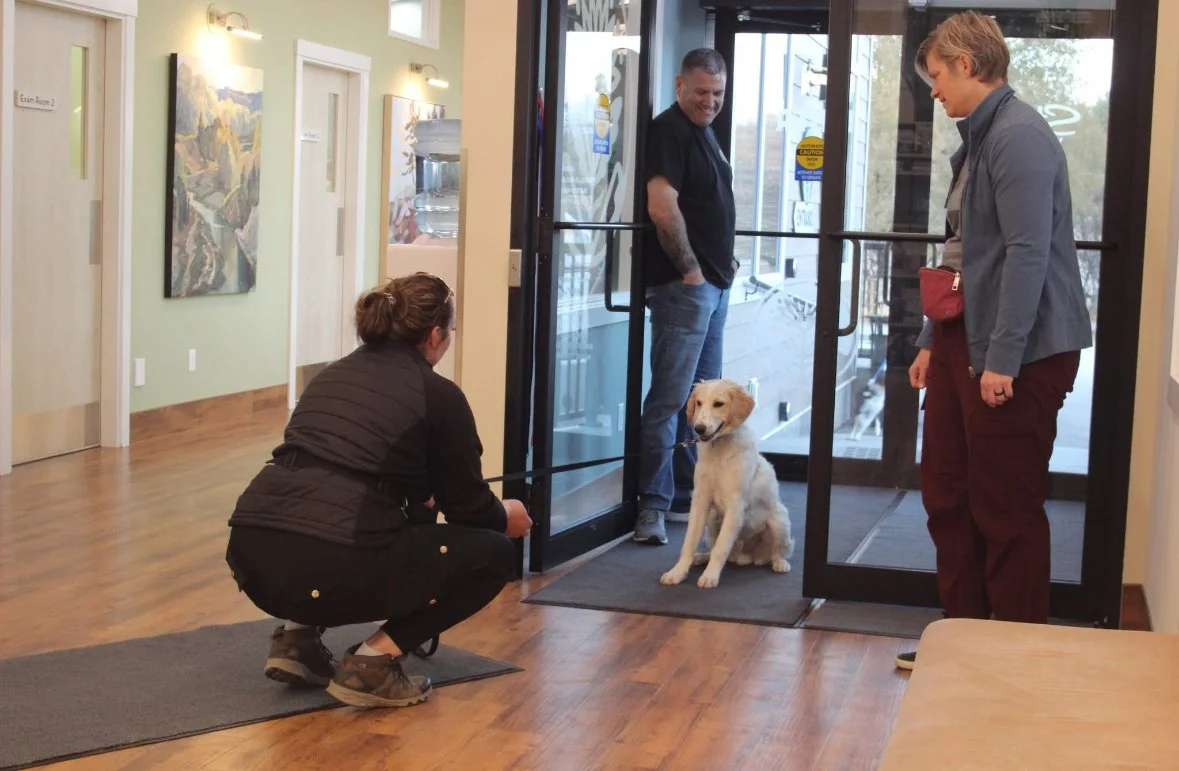 Dog Training Cranbrook