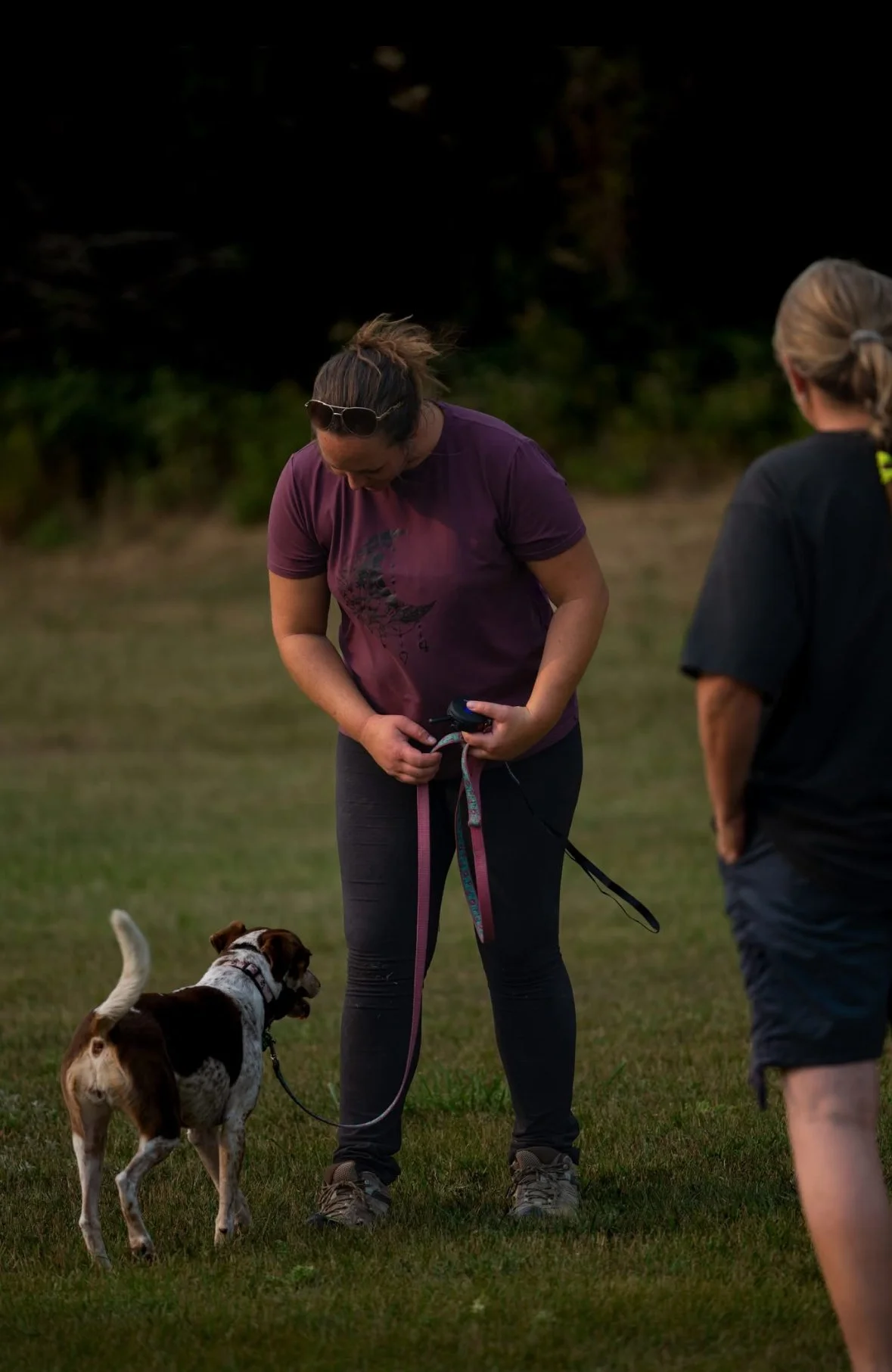 Group Dog Training