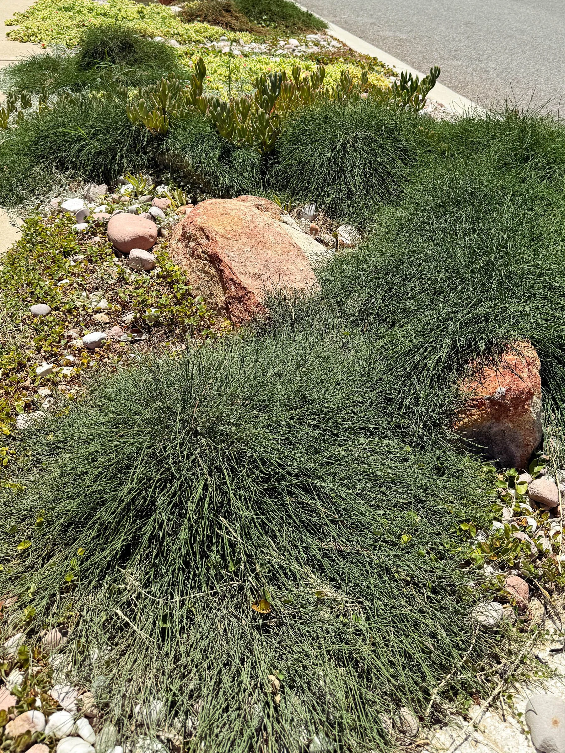 EL_SOUTH GUILDFORD-10.jpg