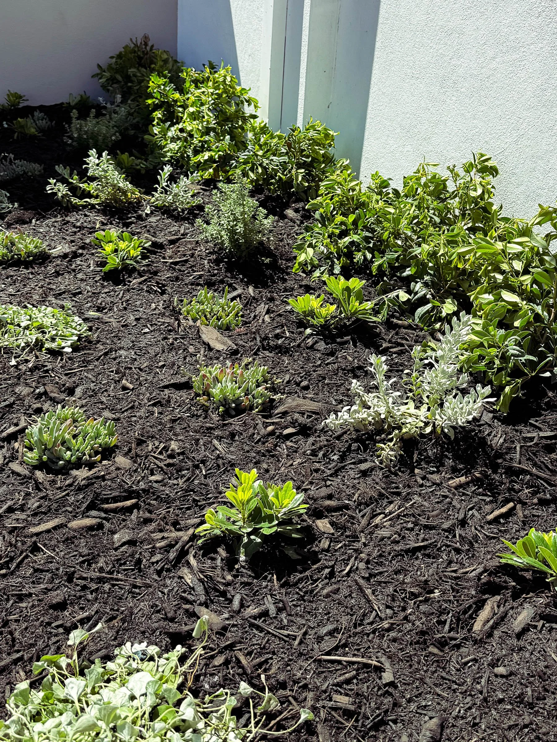 EL_INNALOO 2.0-4.jpg