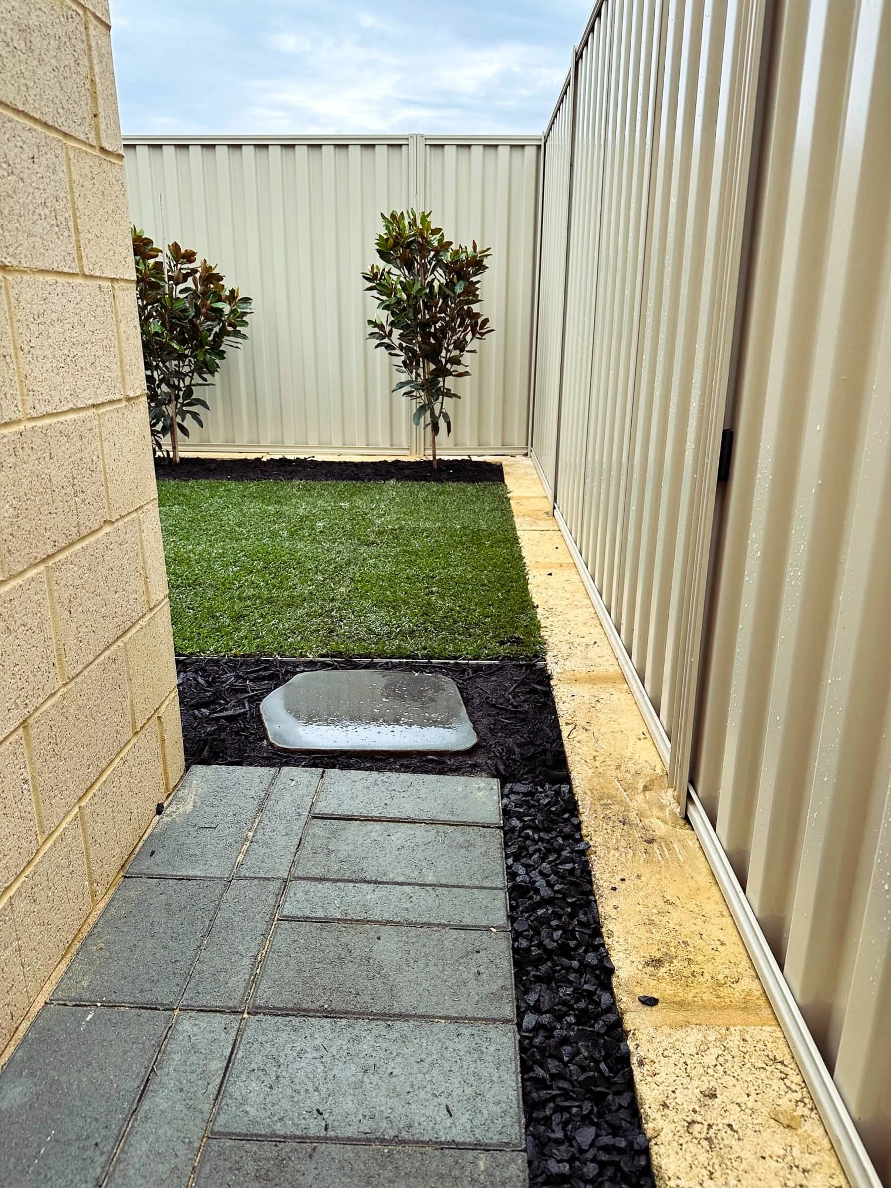 A Coogee garden designed for low maintenance with structured planting, Magnolia trees, bluestone steppers, and neat lawn edging.