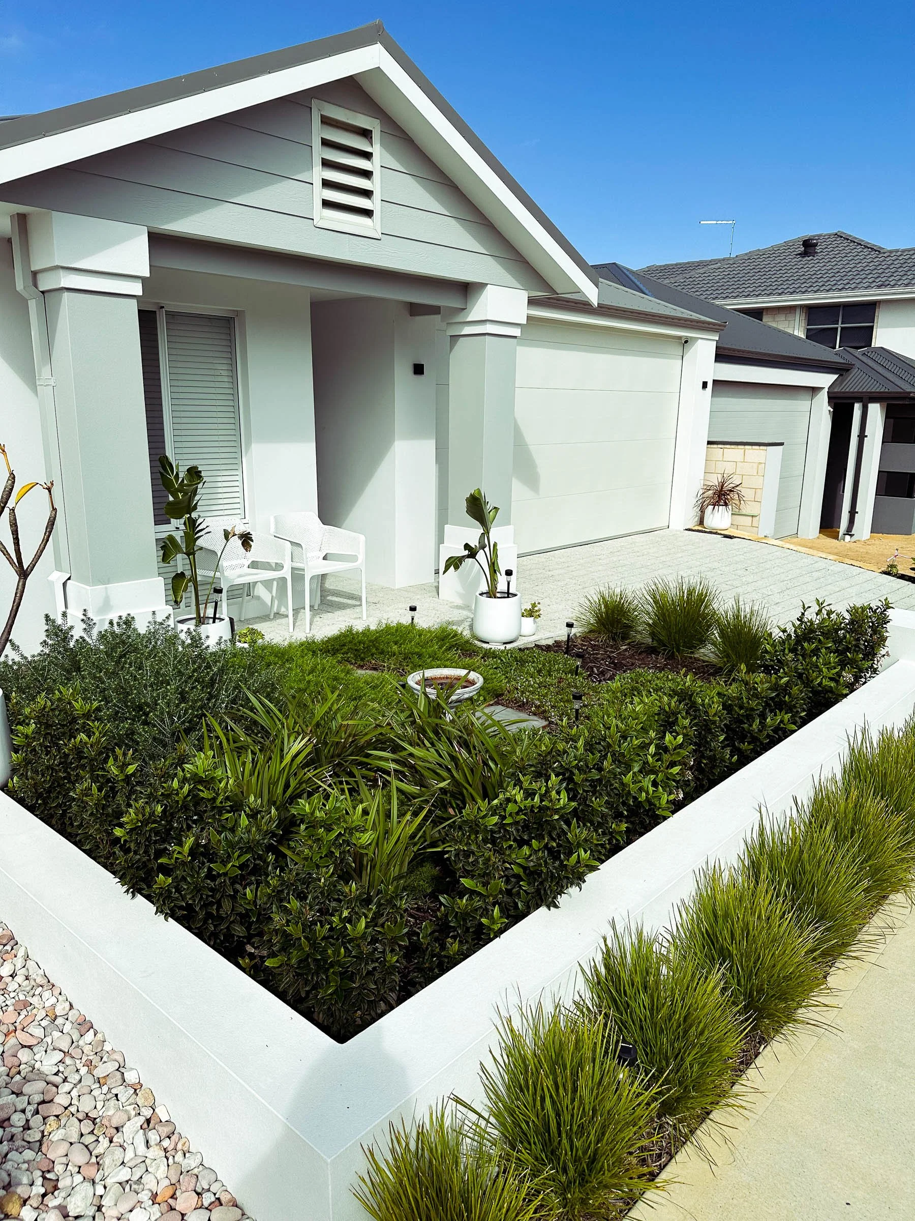 A Coogee garden designed for low maintenance with structured planting, Magnolia trees, bluestone steppers, and neat lawn edging.