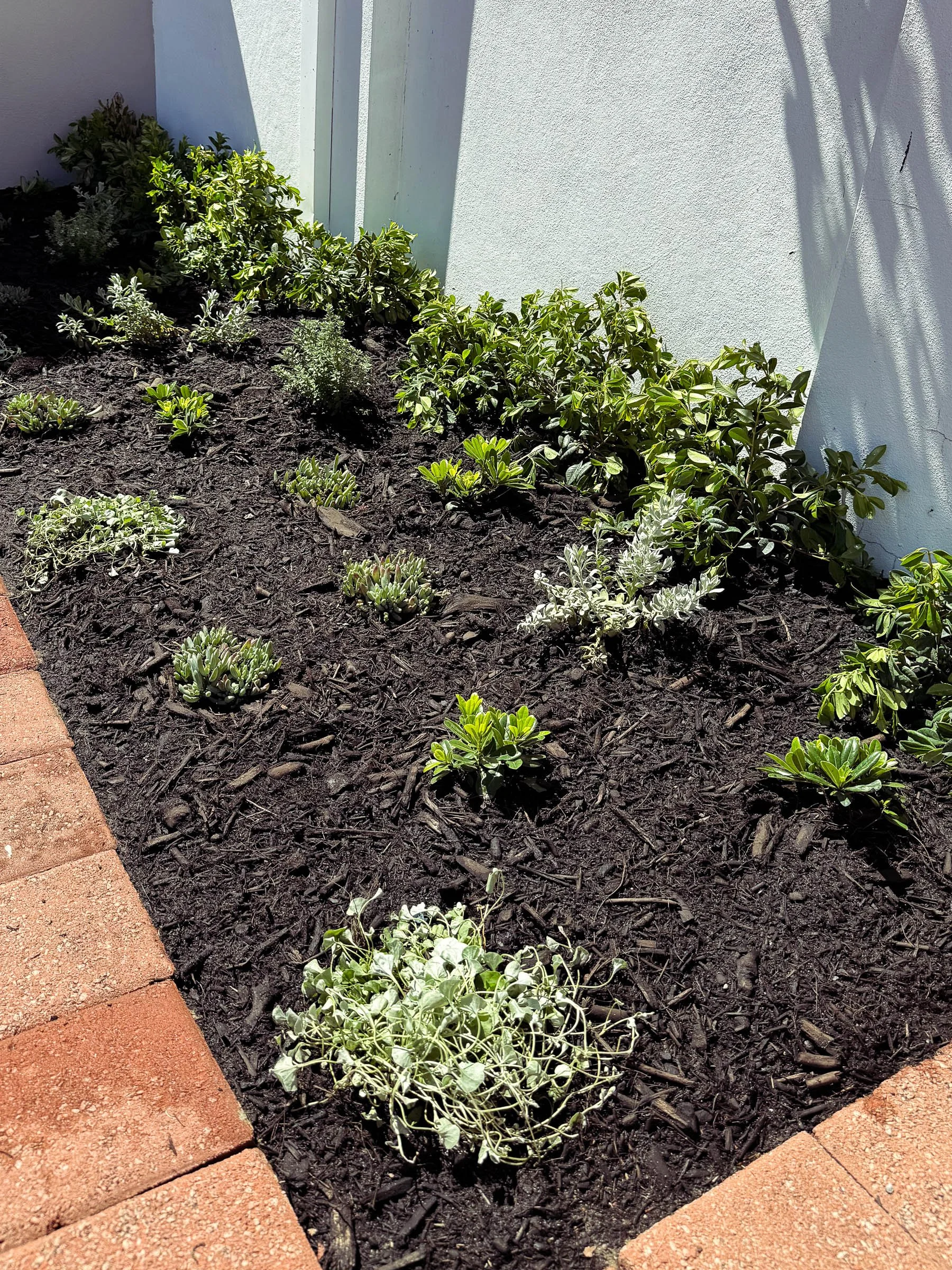 EL_INNALOO 2.0-5.jpg