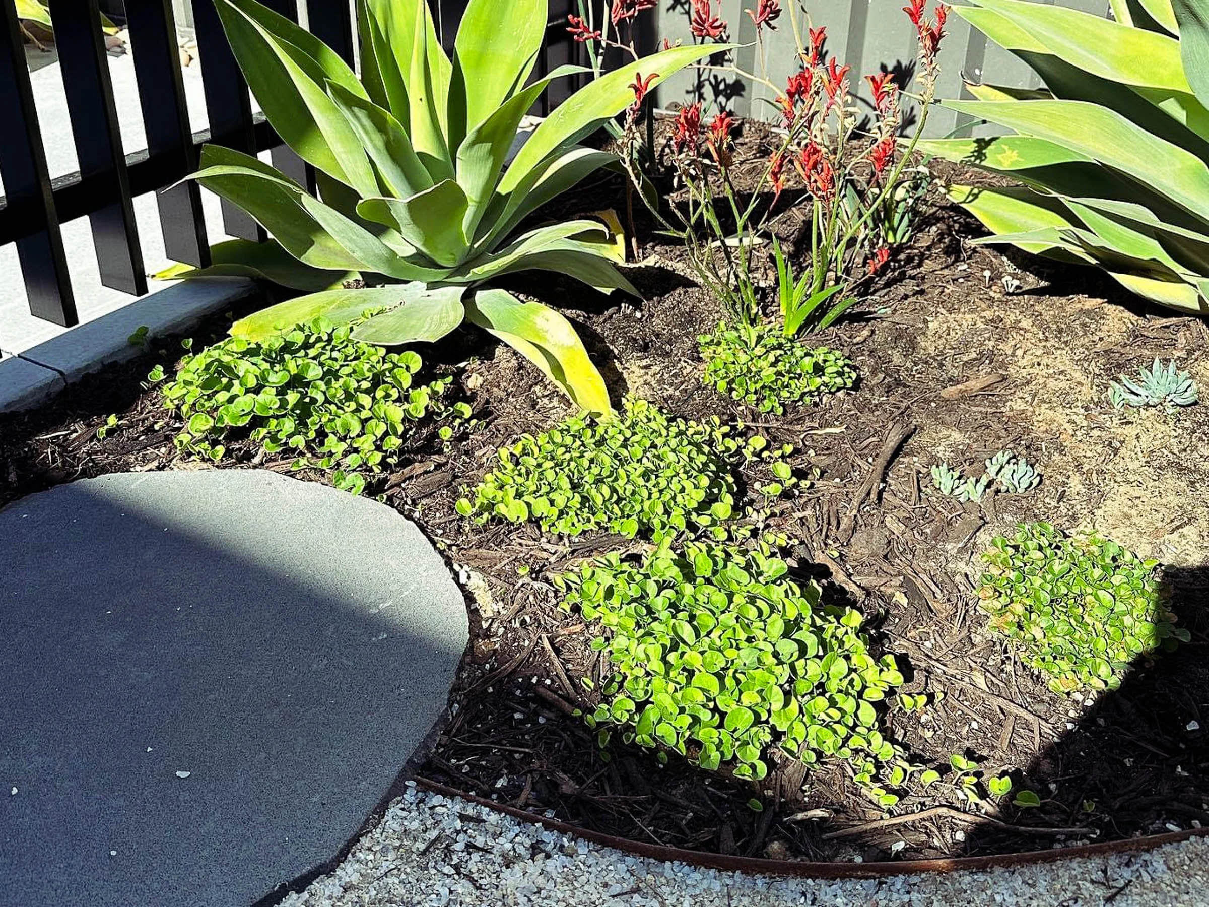 EL_SOUTH GUILDFORD-3.jpg