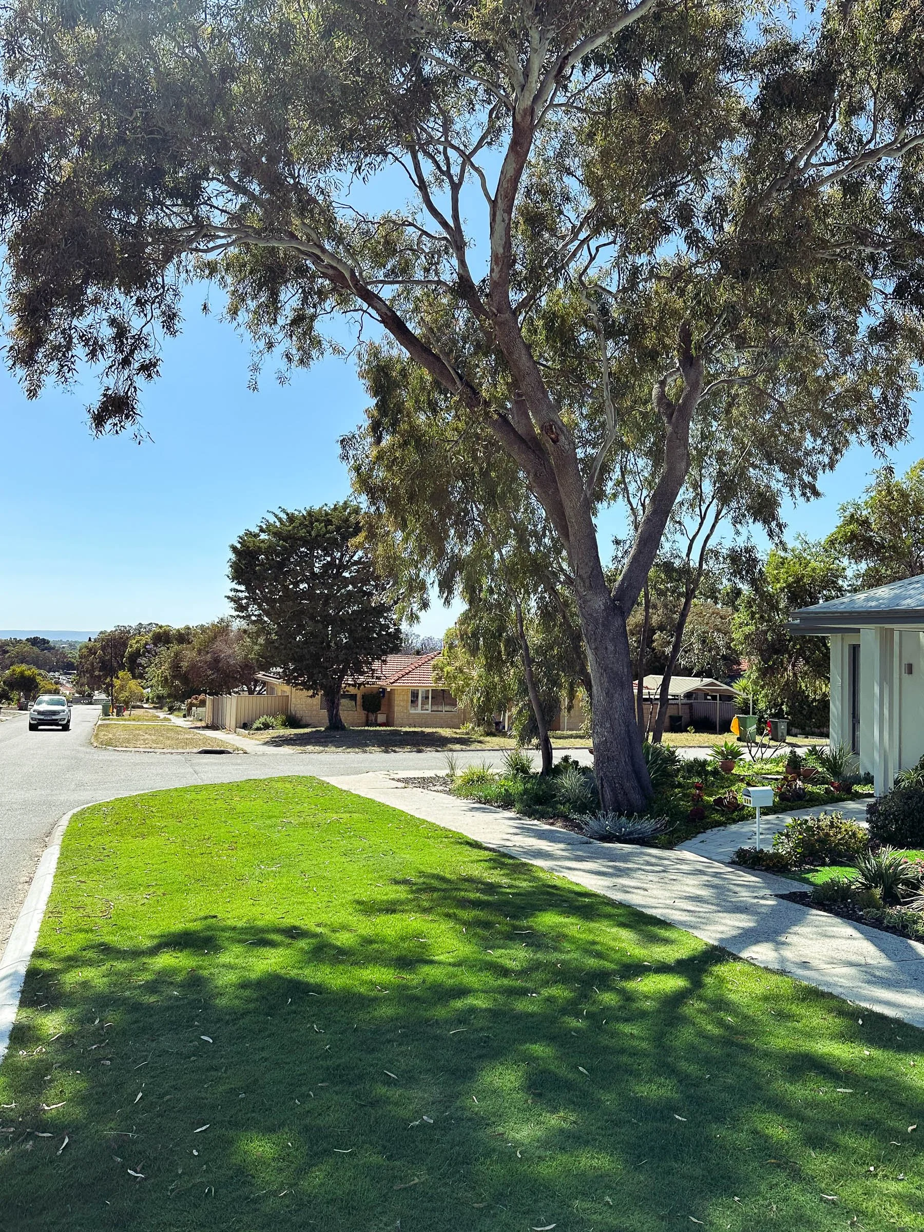 EL_COOLBELLUP 2.0.jpg