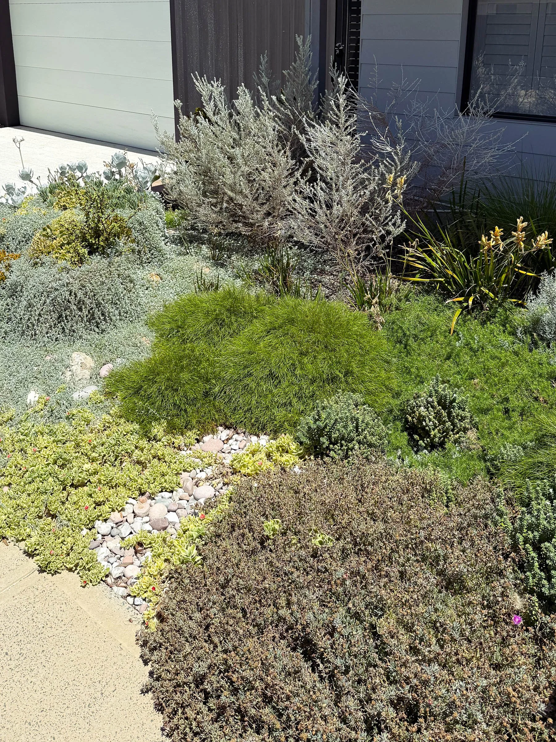 EL_SOUTH GUILDFORD-13.jpg