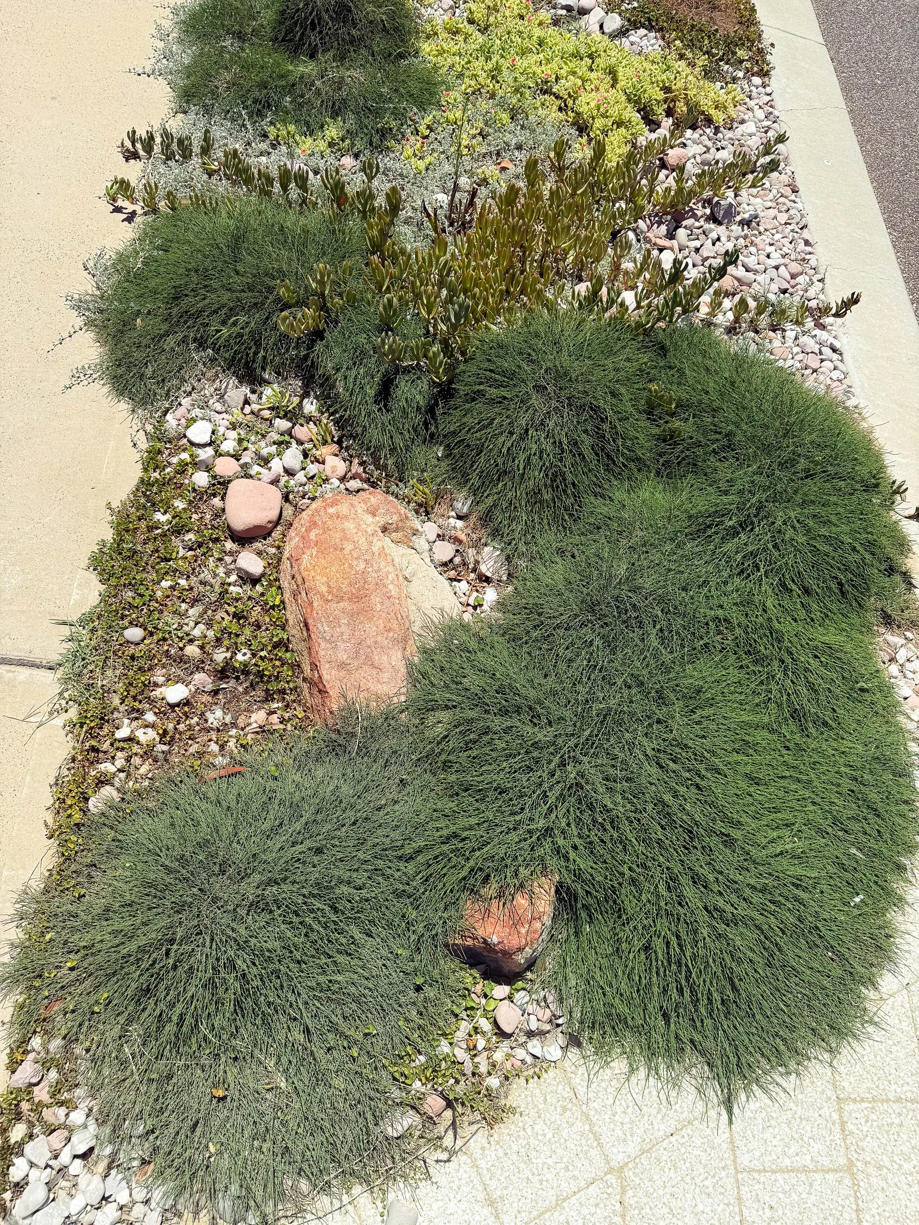 EL_SOUTH GUILDFORD-14.jpg