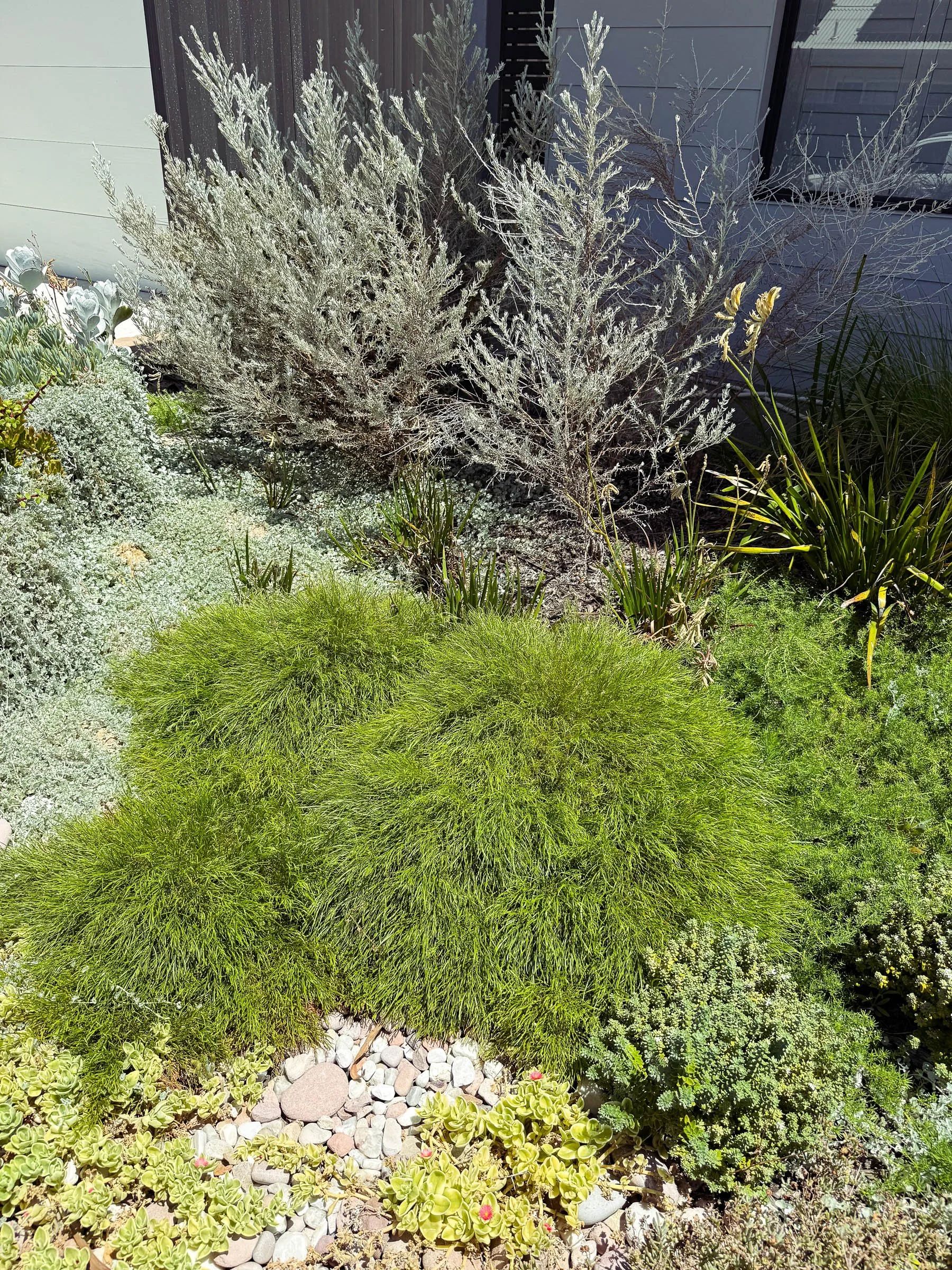 EL_SOUTH GUILDFORD-7.jpg