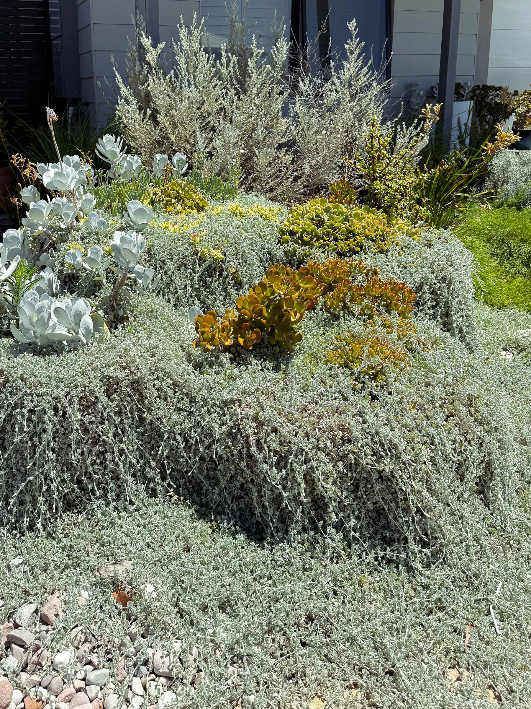 EL_SOUTH GUILDFORD-12.jpg