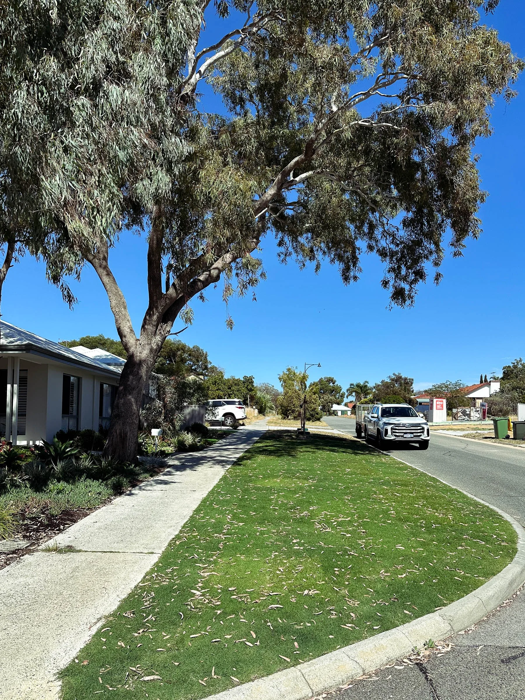 EL_COOLBELLUP 2.0-3.jpg