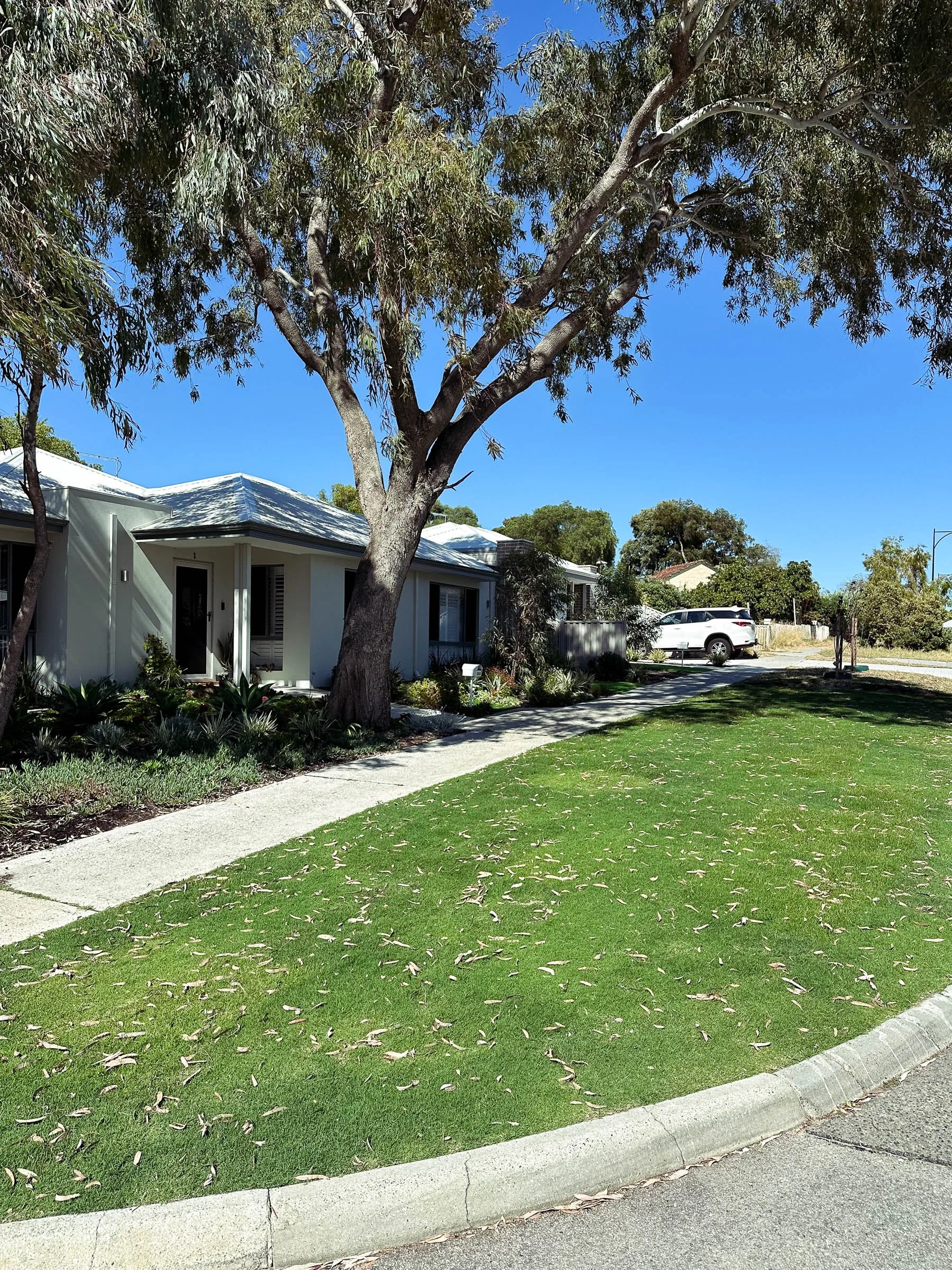 EL_COOLBELLUP 2.0-2.jpg