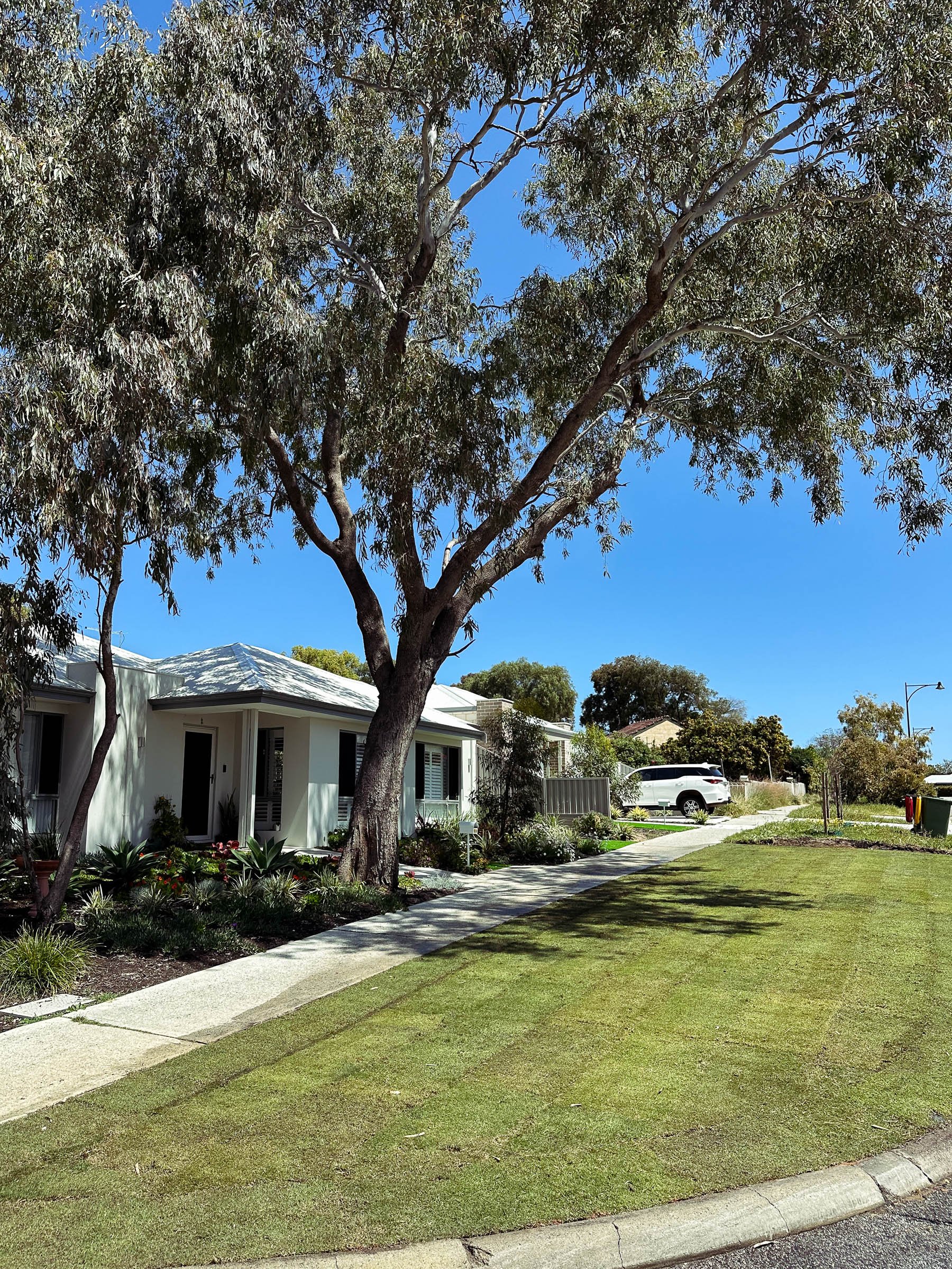 EL_COOLBELLUP 2.0-4.jpg