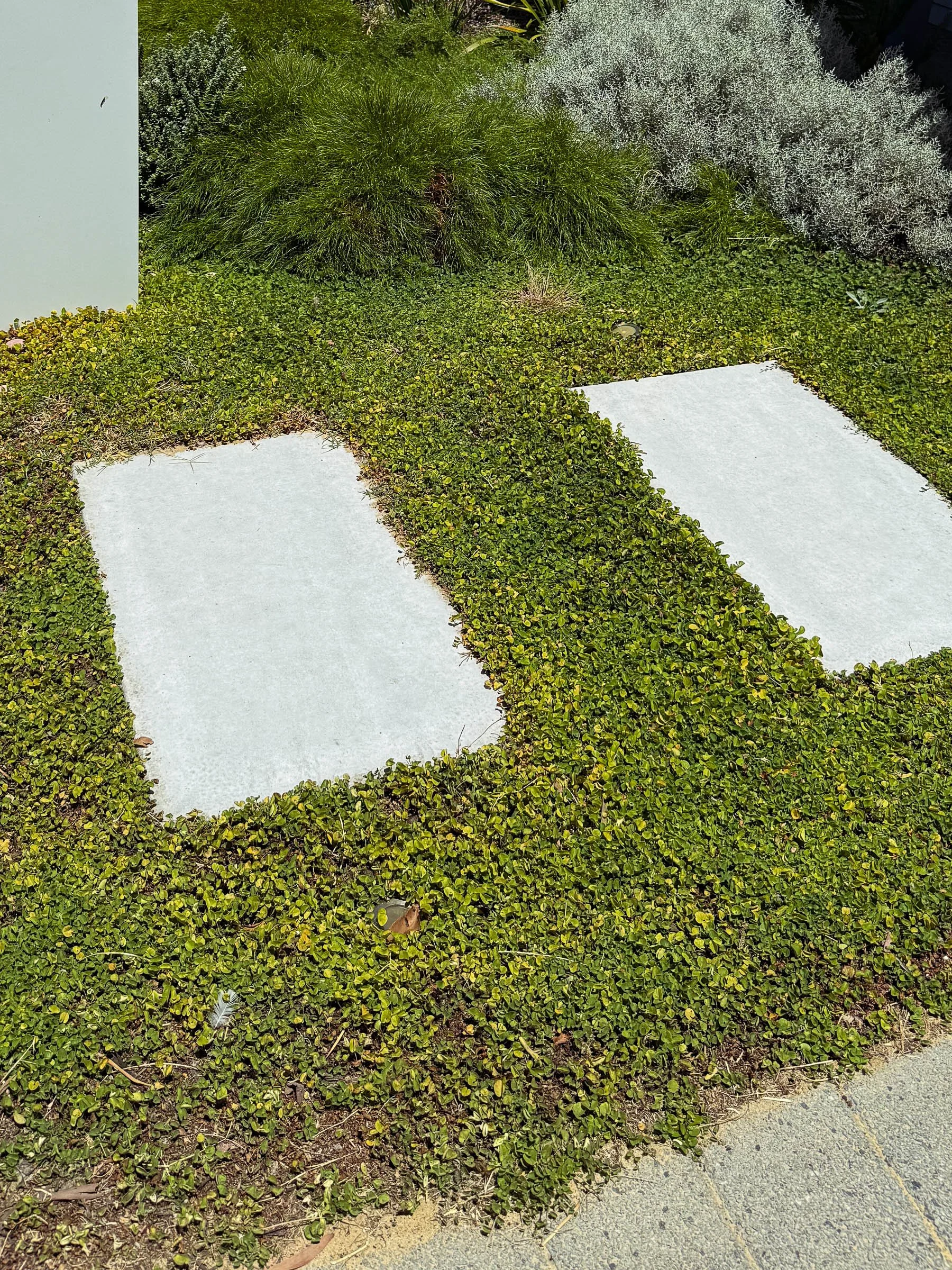 EL_SOUTH GUILDFORD-9.jpg