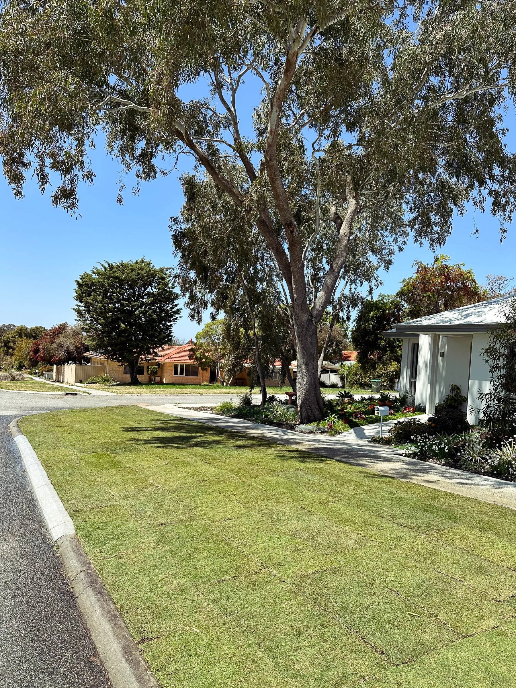 EL_COOLBELLUP 2.0-5.jpg