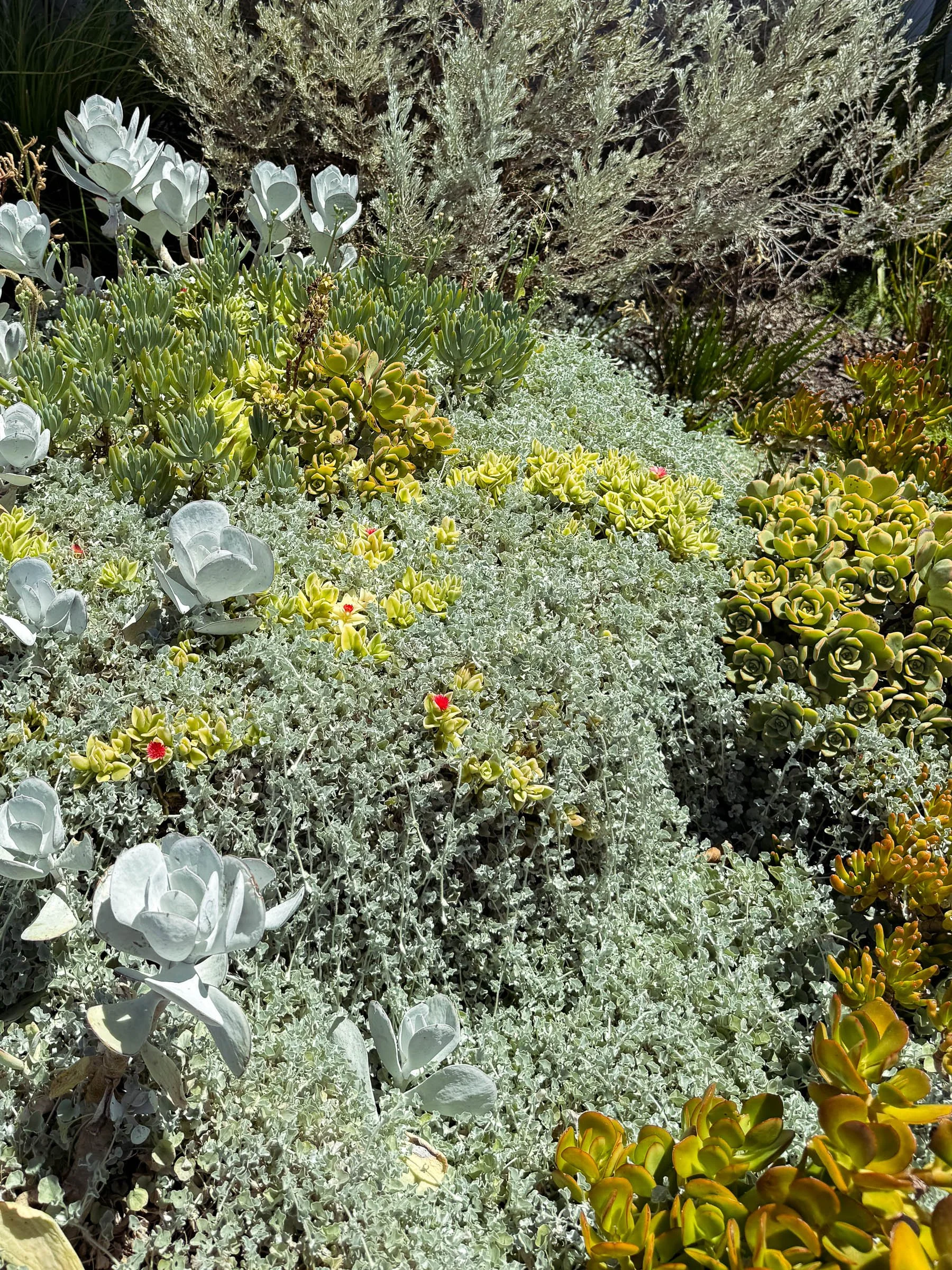 EL_SOUTH GUILDFORD-6.jpg