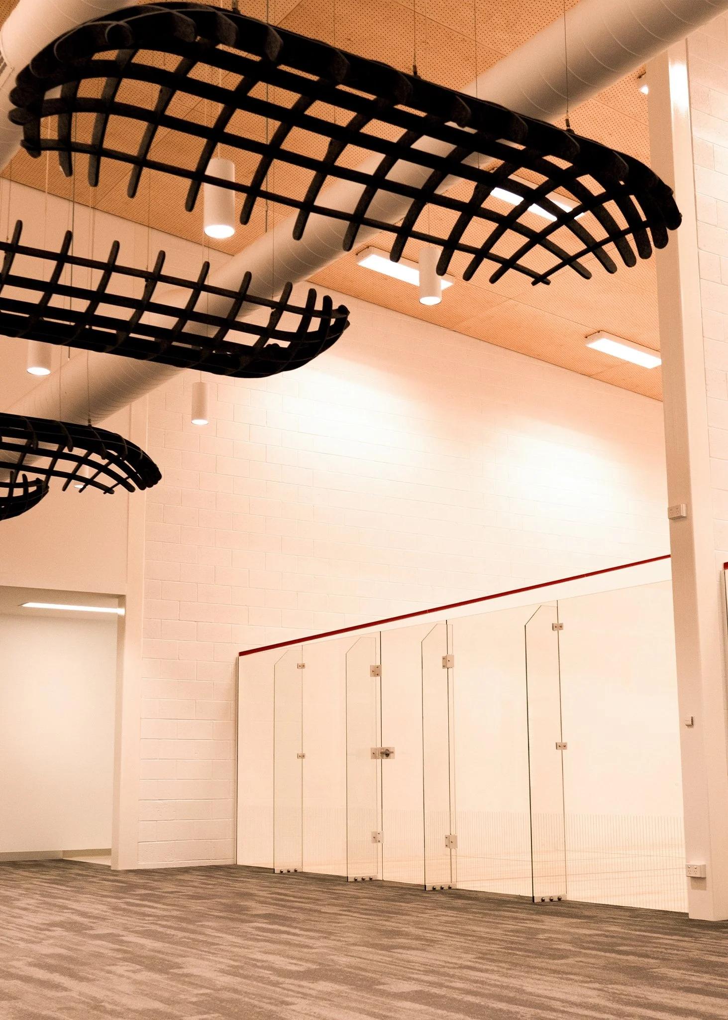 Empty indoor sports or recreational facility with glass walls, brown carpet, white brick walls, and overhead black plastic curved structures.