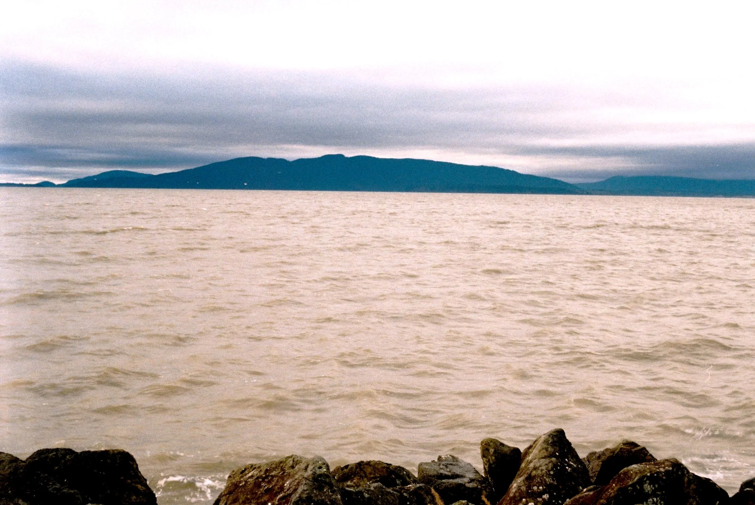 Natura Book Club Vol. 1