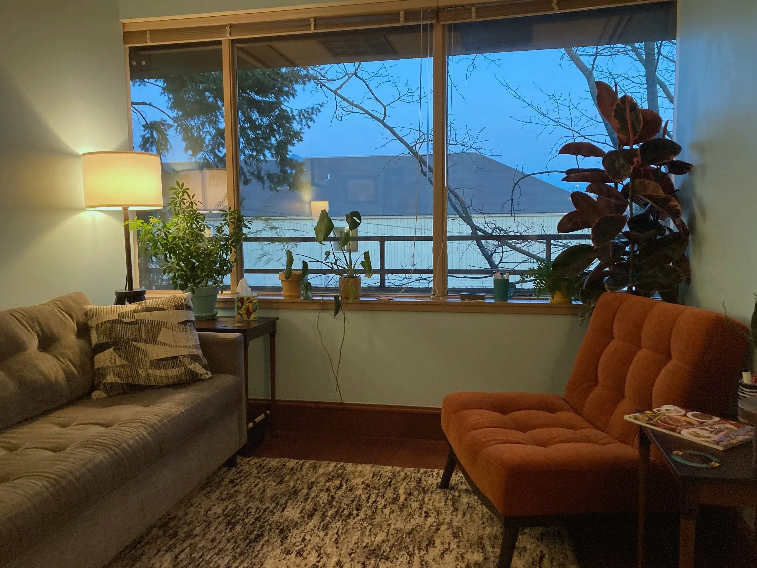 James' office at Natura Psychotherapy.