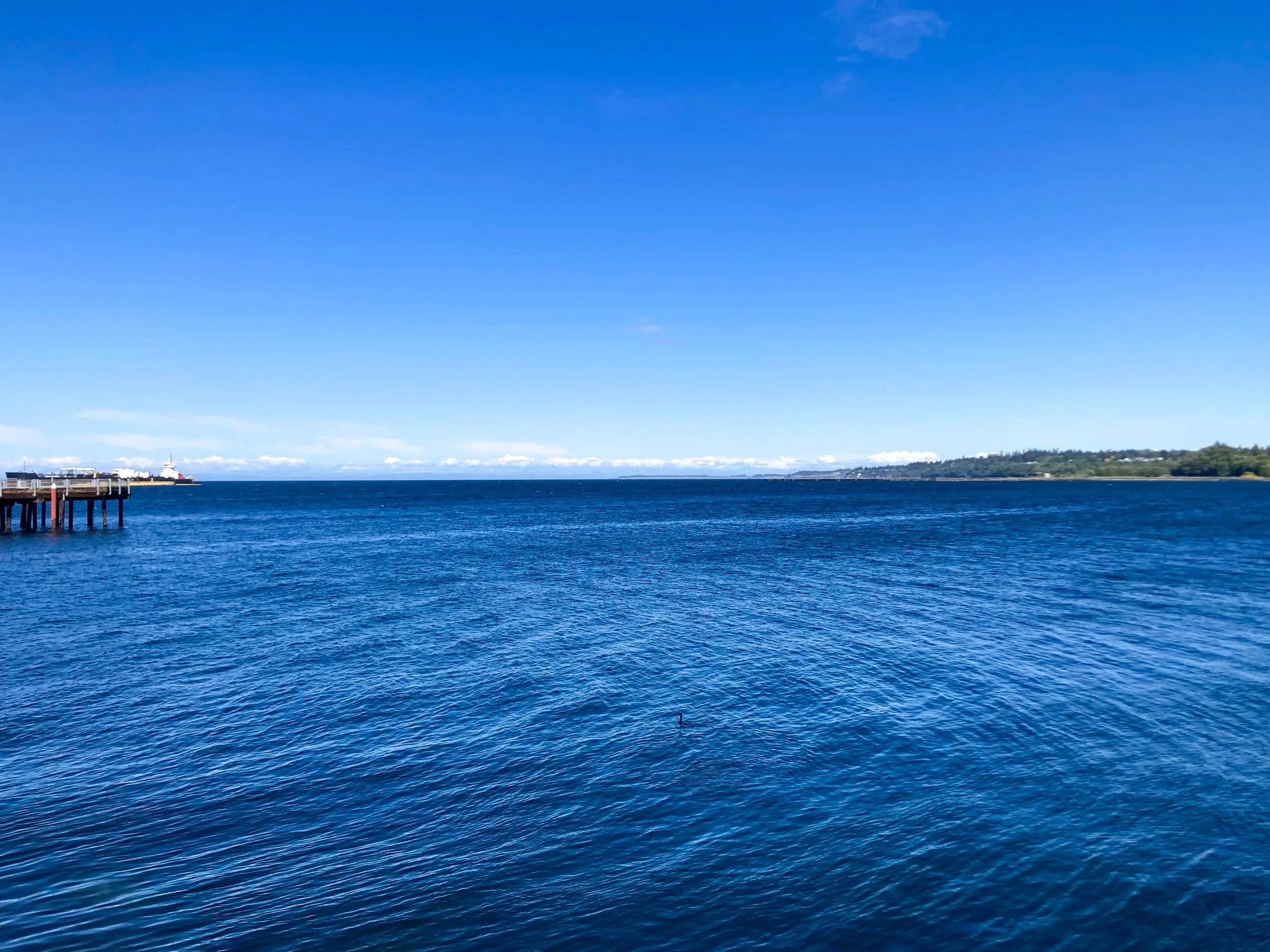 A large body of water under a bright blue sky with some clouds. In the distance, there is a shoreline with some trees and buildings. On the left side, part of a pier extends over the water.