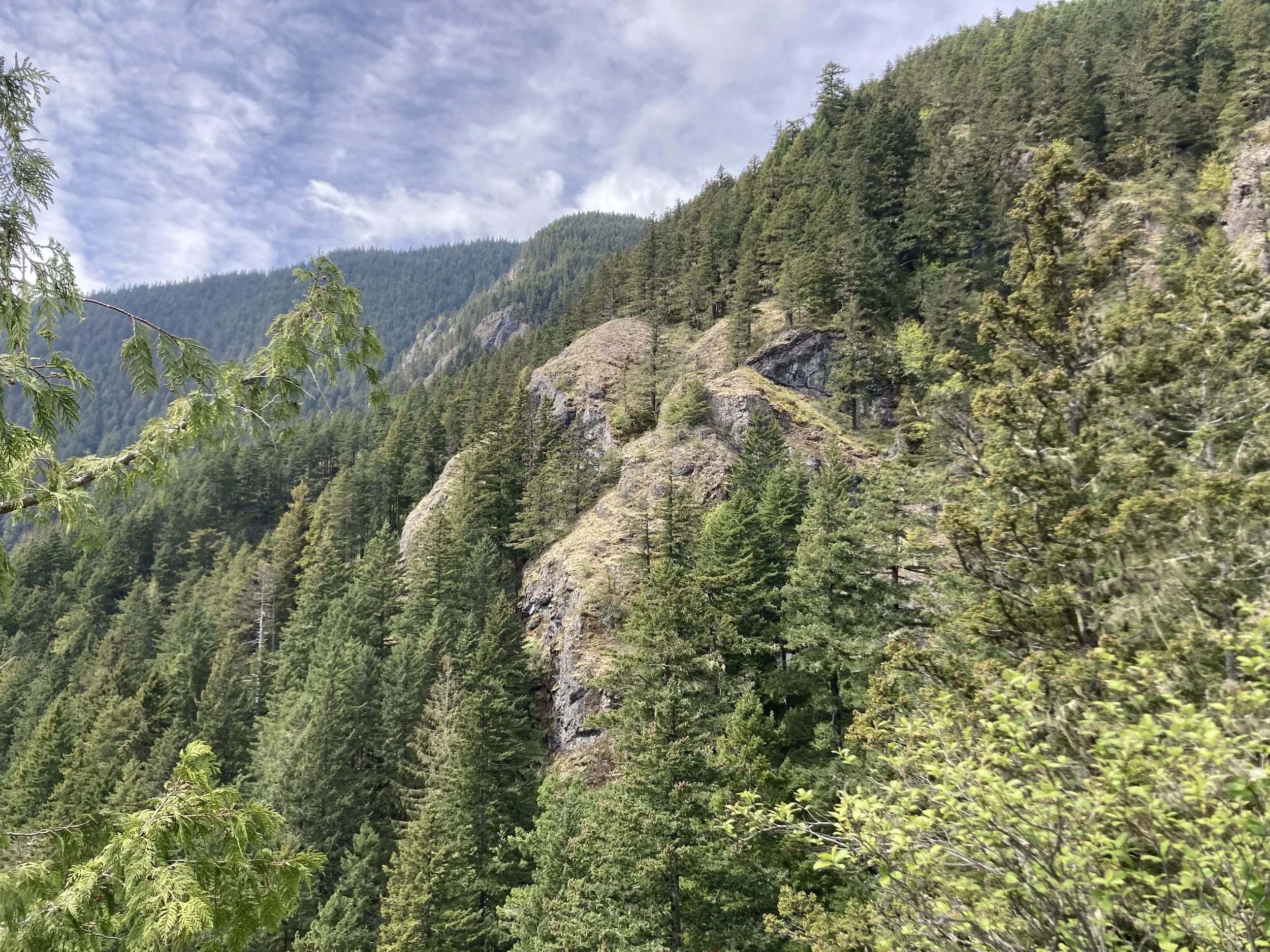 On my trip to Olympic National Park.