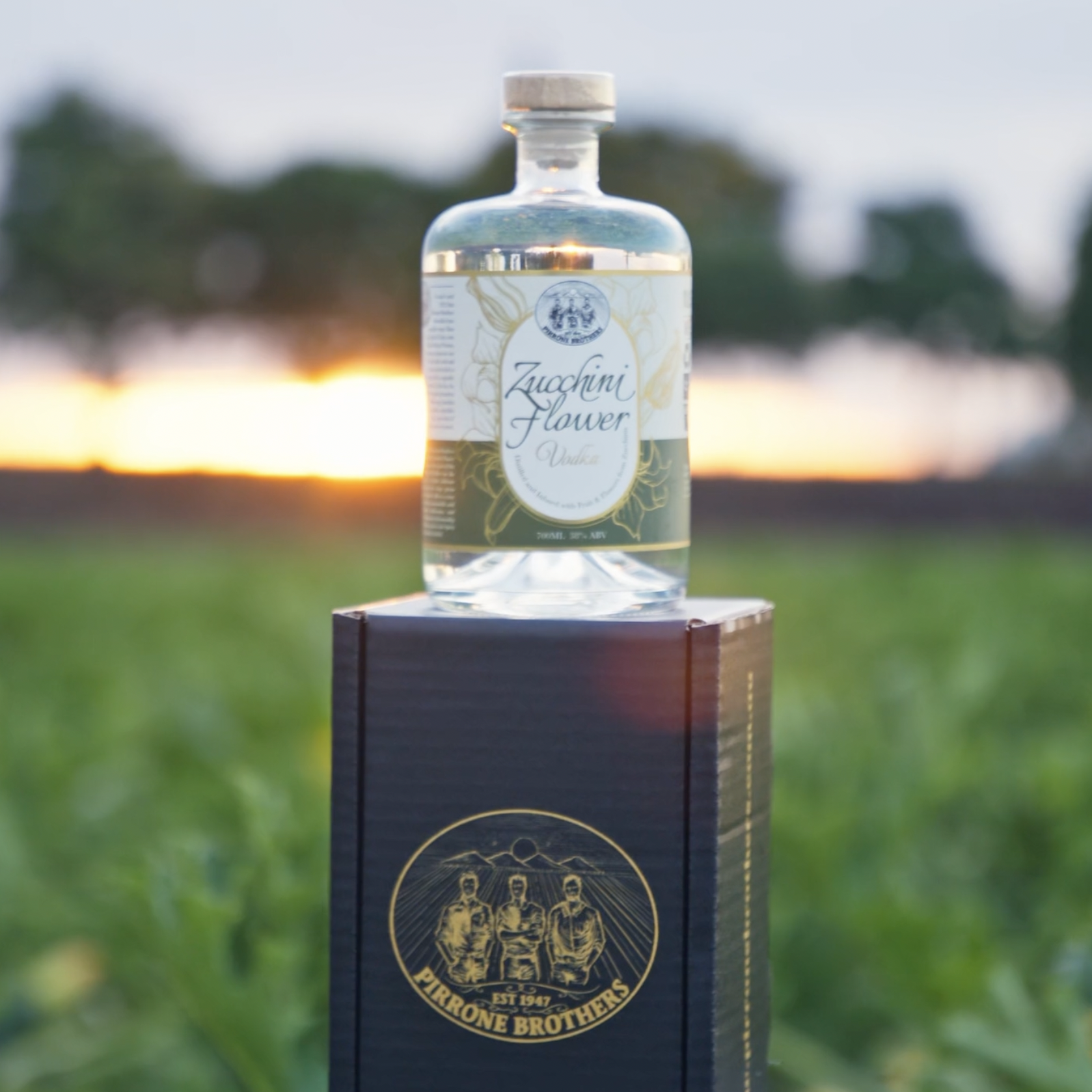 Pirrone Brothers Z Vodka in fields sq.png