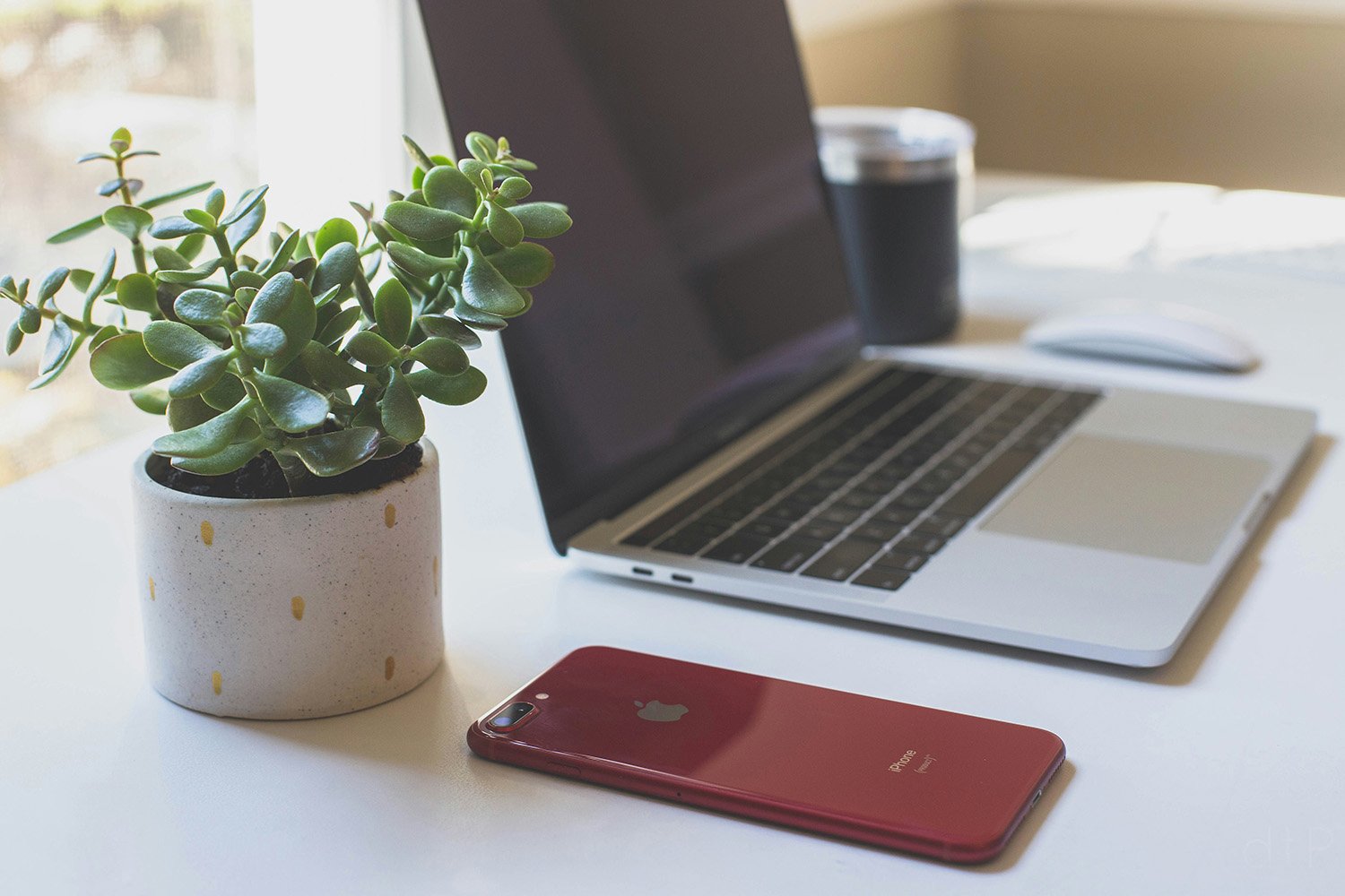 A workspace with a potted succulent plant, an open laptop, a smartphone, a coffee cup, and a computer mouse on a white desk near a window.