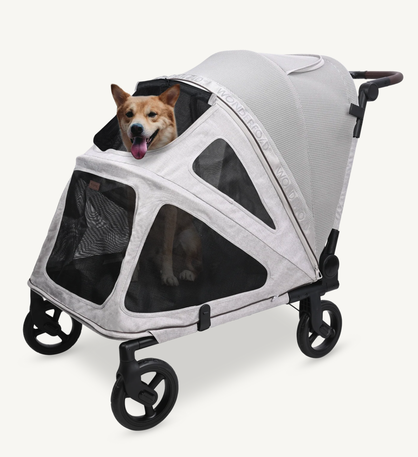Dog in a pet stroller with a mesh cover.