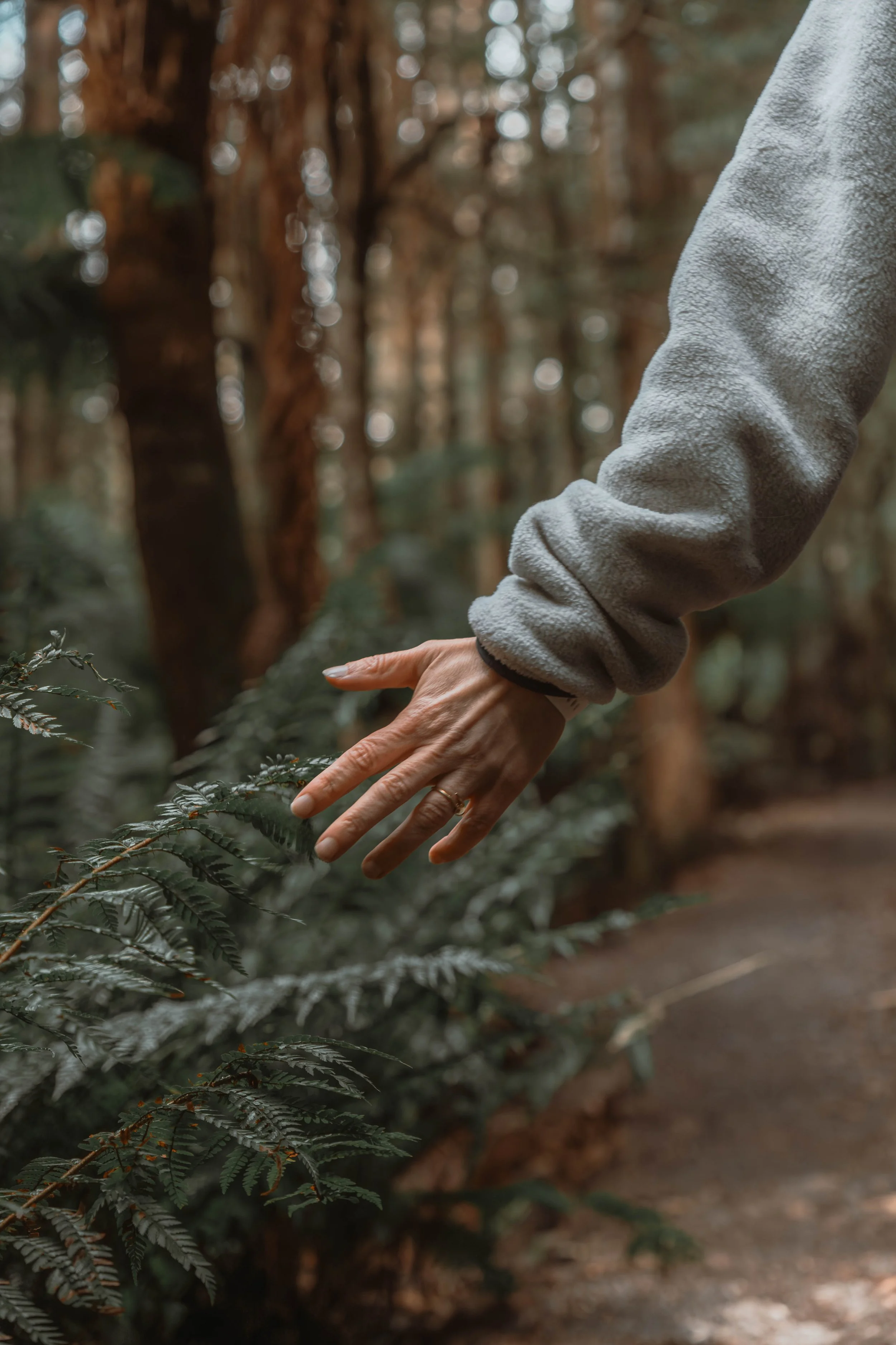 Close-up of a person's hand and arm reaching out to touch green fern leaves in a forest with trees in the background.