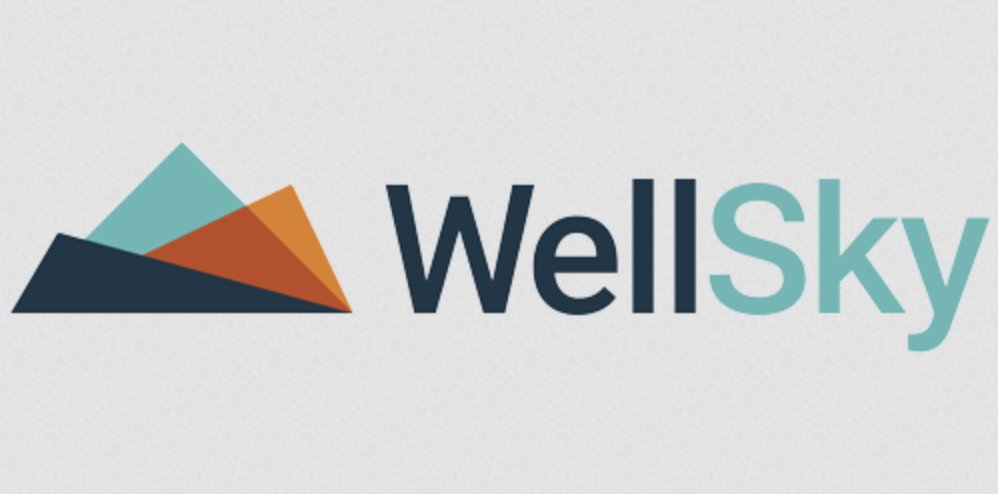 WellSky logo with abstract mountain design in blue, orange, and teal colors