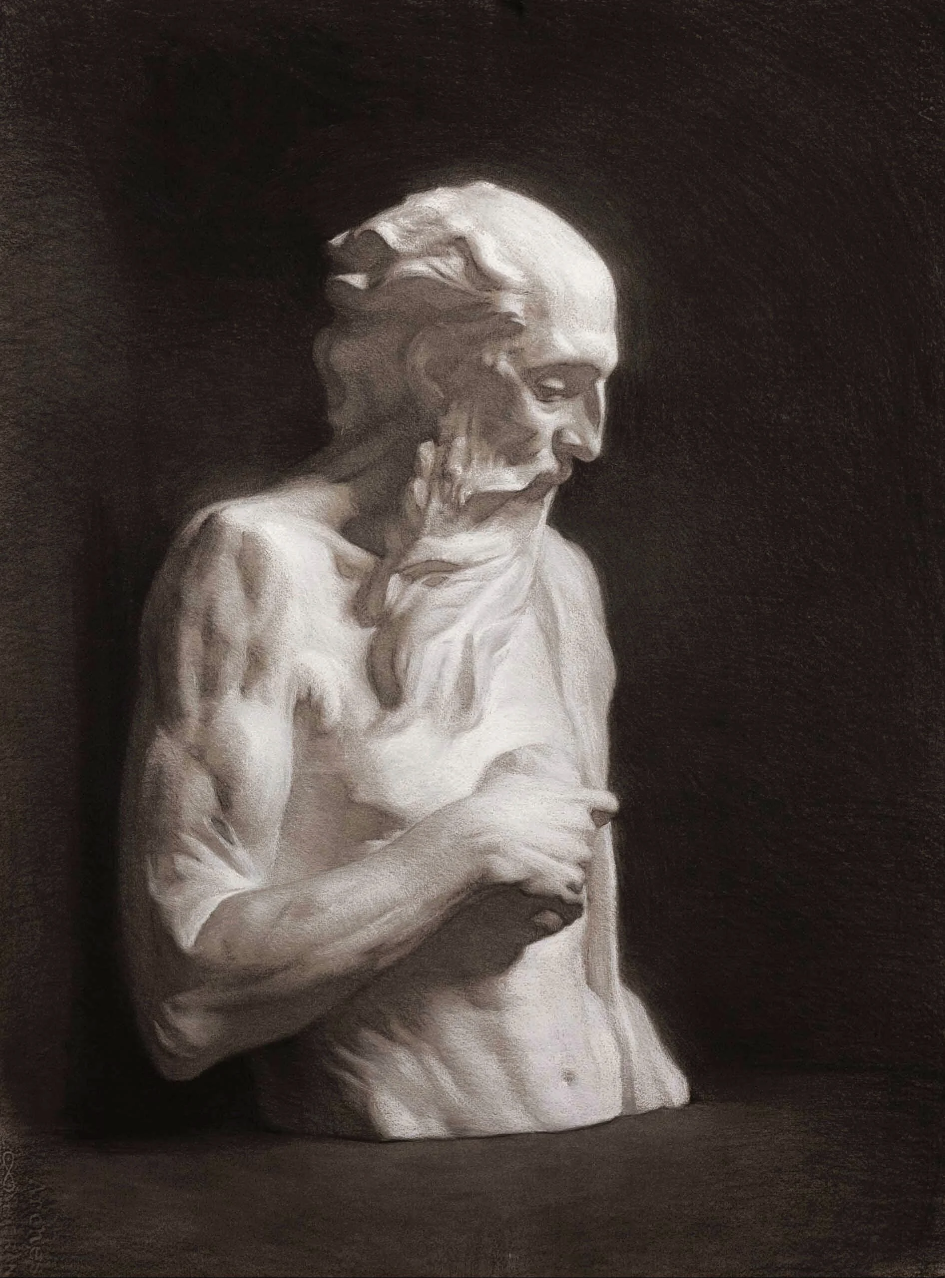 Cast Drawing of St. Jerome - 55 x 75cm - 
Charcoal and Chalk on Toned Paper - 2022