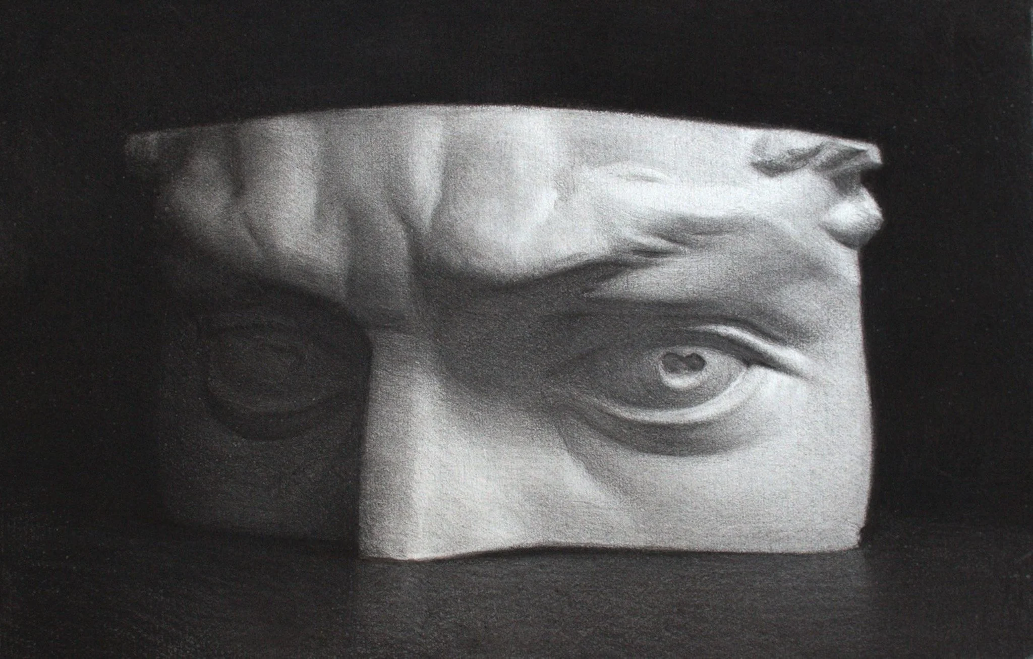 'Eyes of David' - Charcoal on Roma Paper - 2021