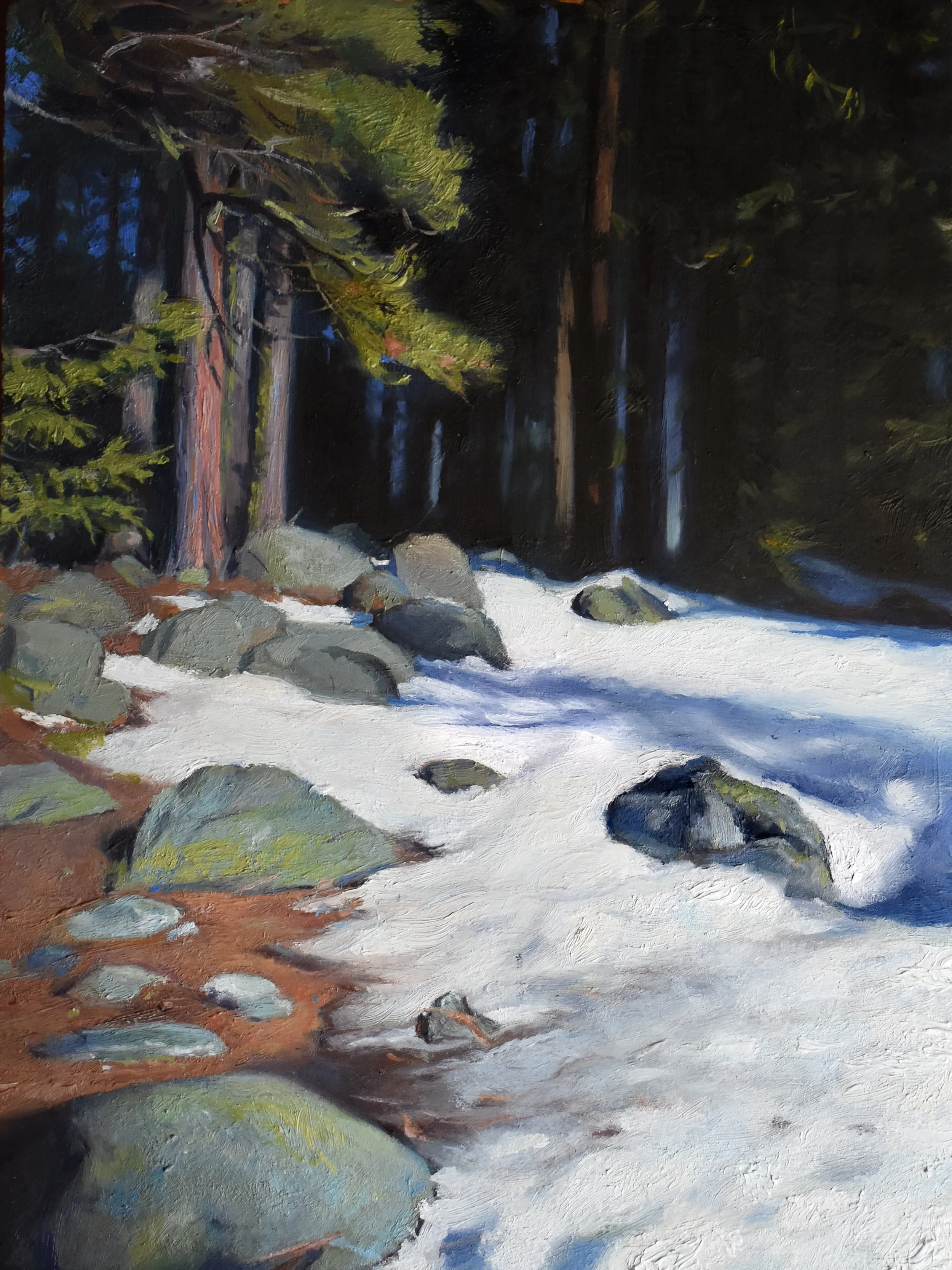 Lake Wenatchee Trees - 2025