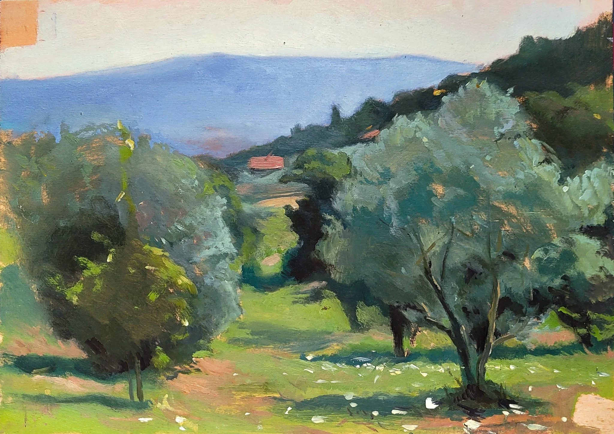 'Olive Trees Near Florence' - 30 x 40cm - Oil on Panel - 2024