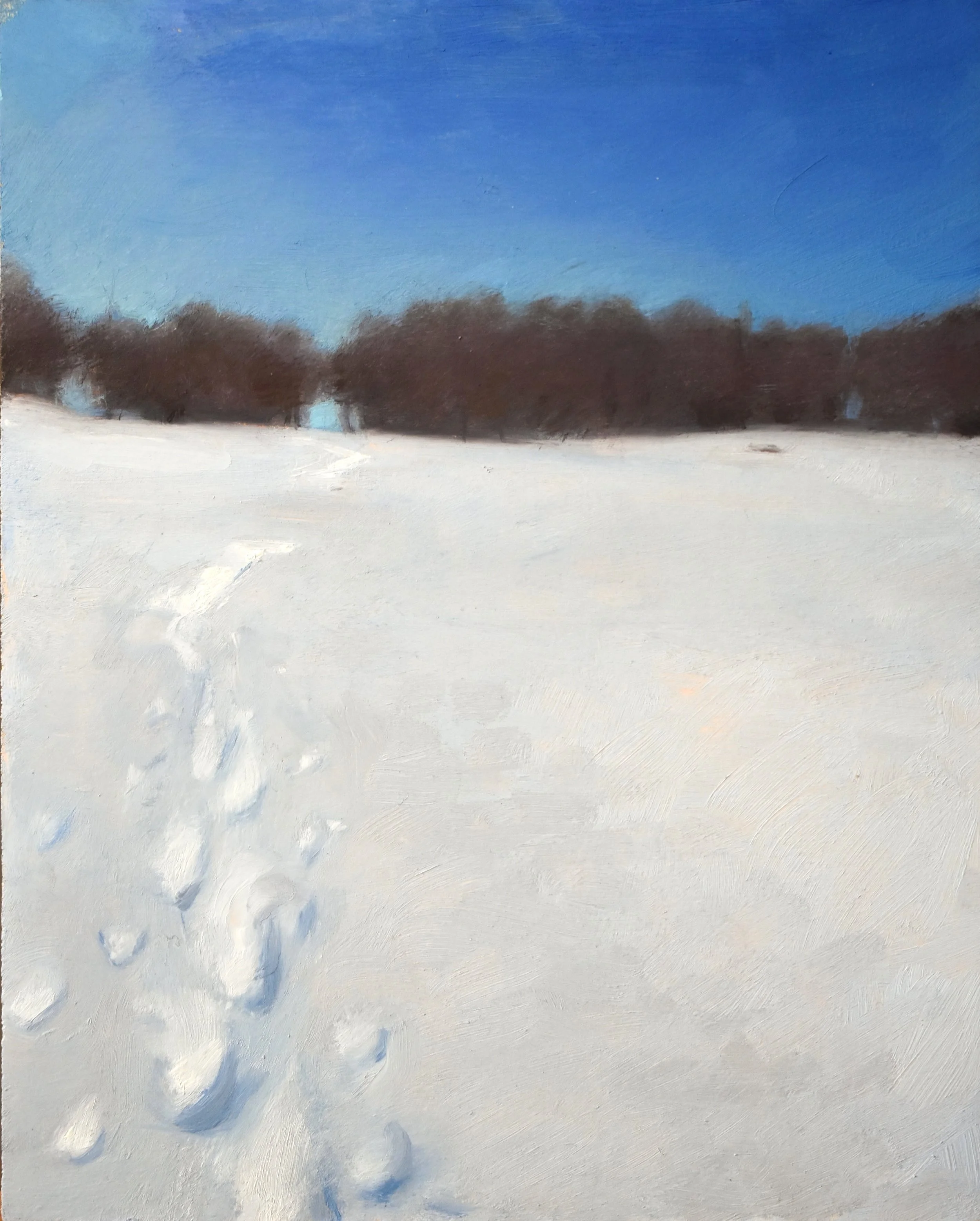 Snowy Path - 2025