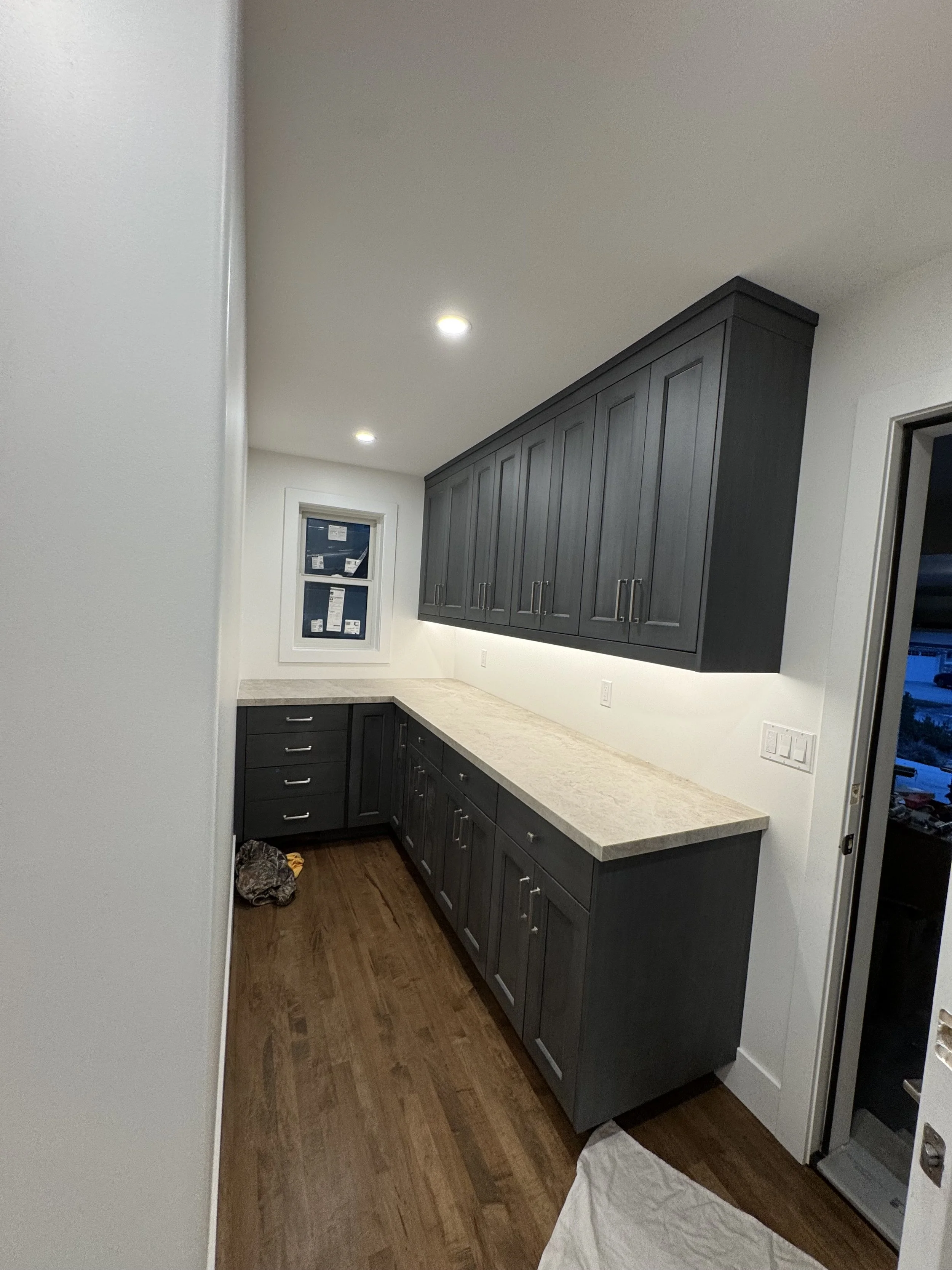 Under cabinet lighting in this pantry 