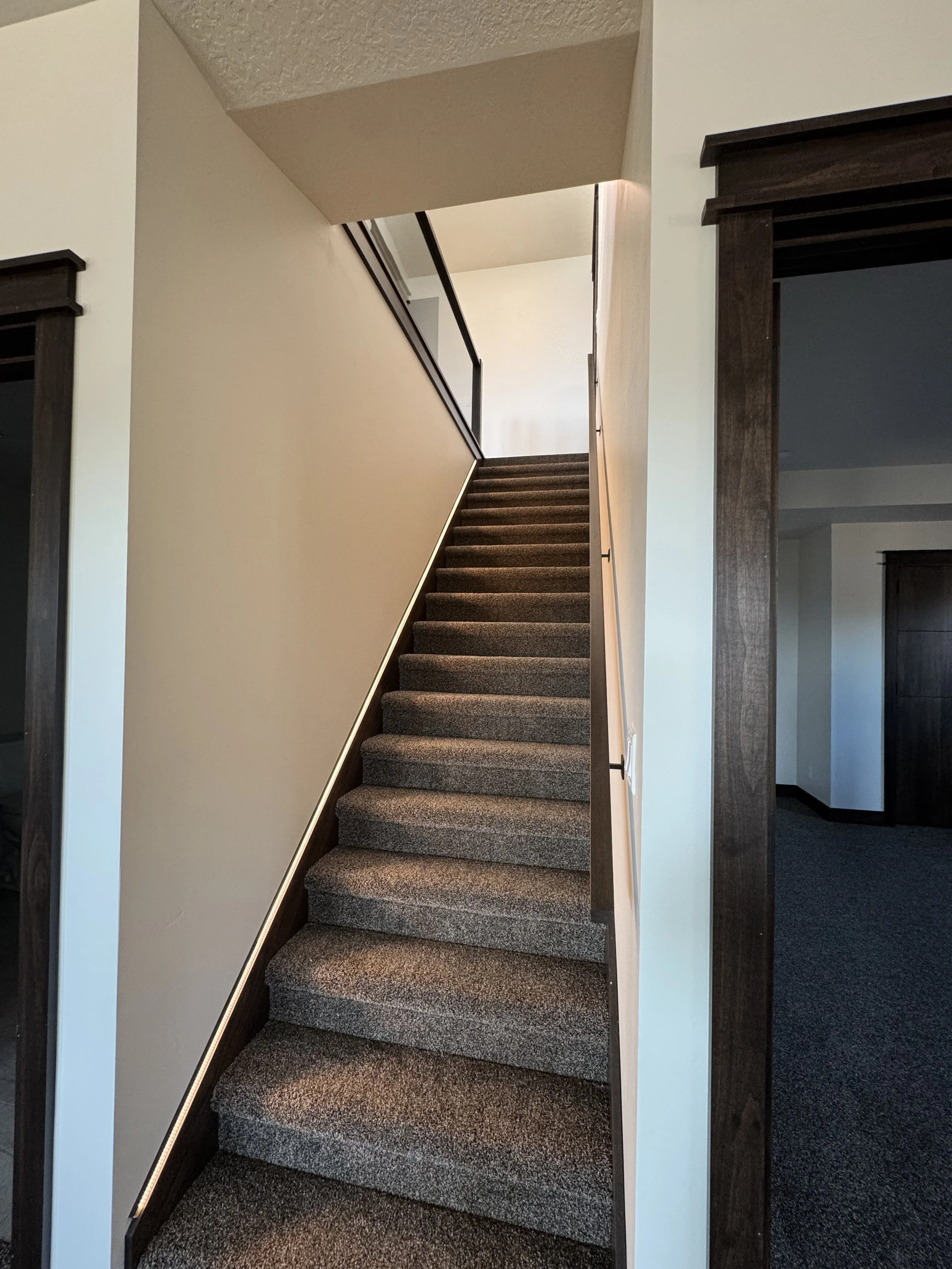 Indoor staircase with brown carpeted steps, white walls, and a black metal handrail, leading up to an open upper floor.